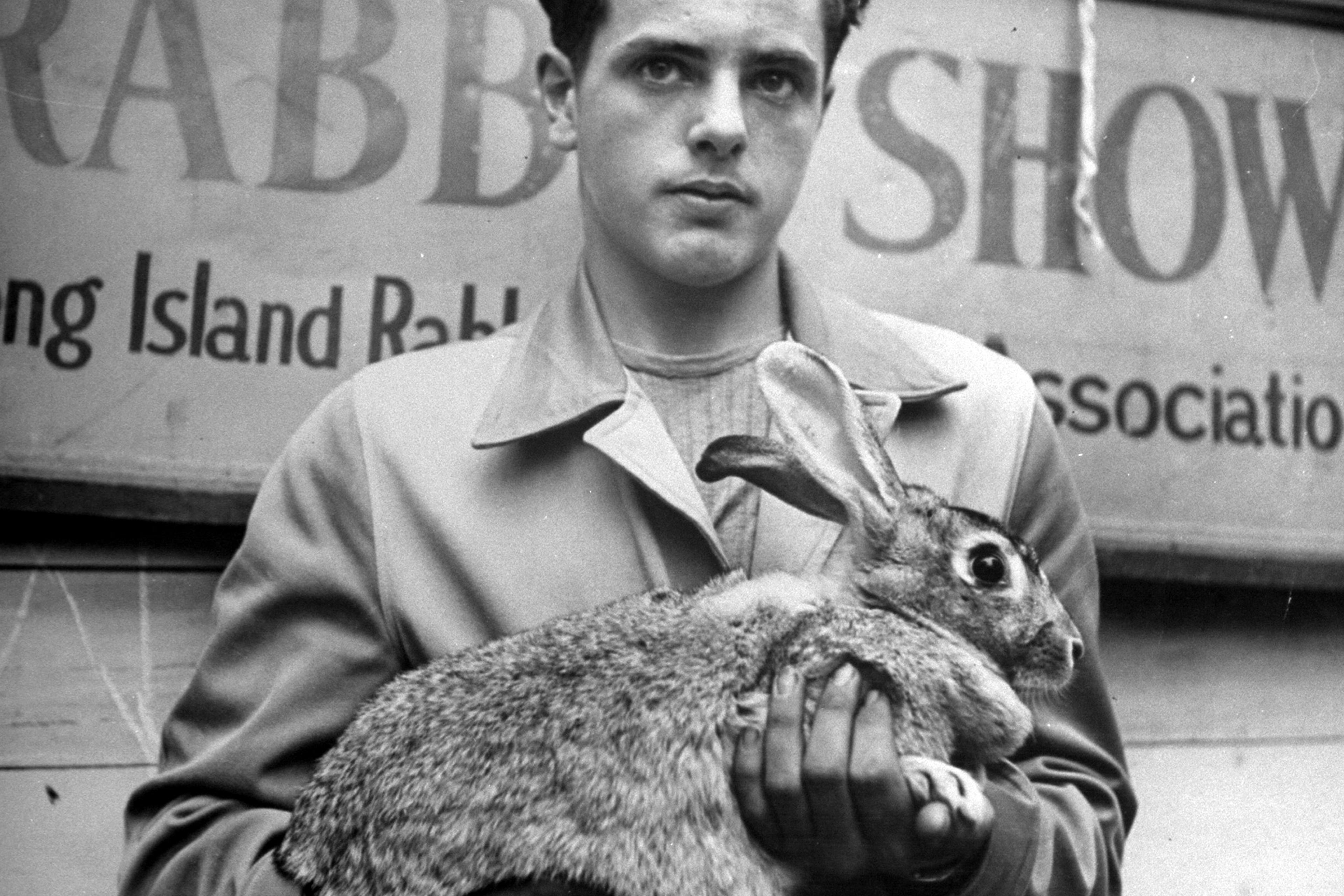 Easter Rabbit Pictures From LIFE Magazine's Archives