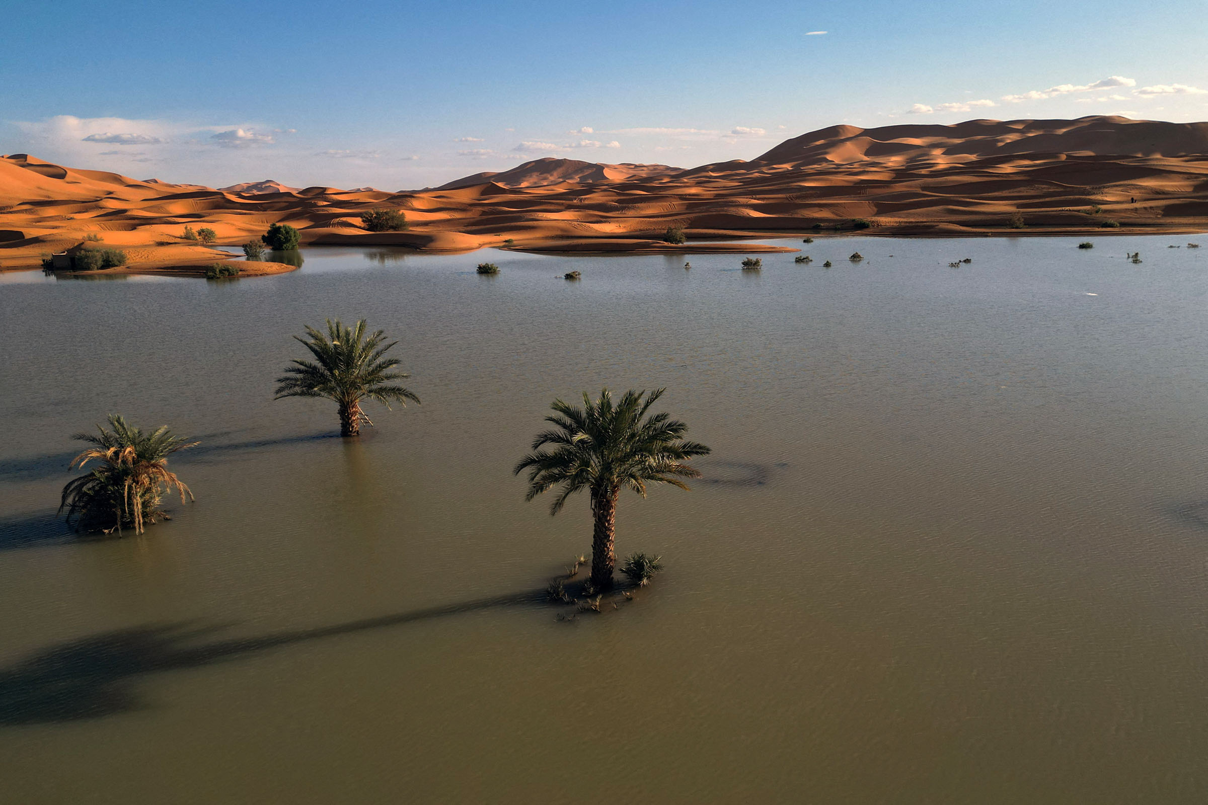 A drone view shows sand dunes and palm trees partially covered by floodwaters, after rare rainfall hit the area last September, in Merzouga