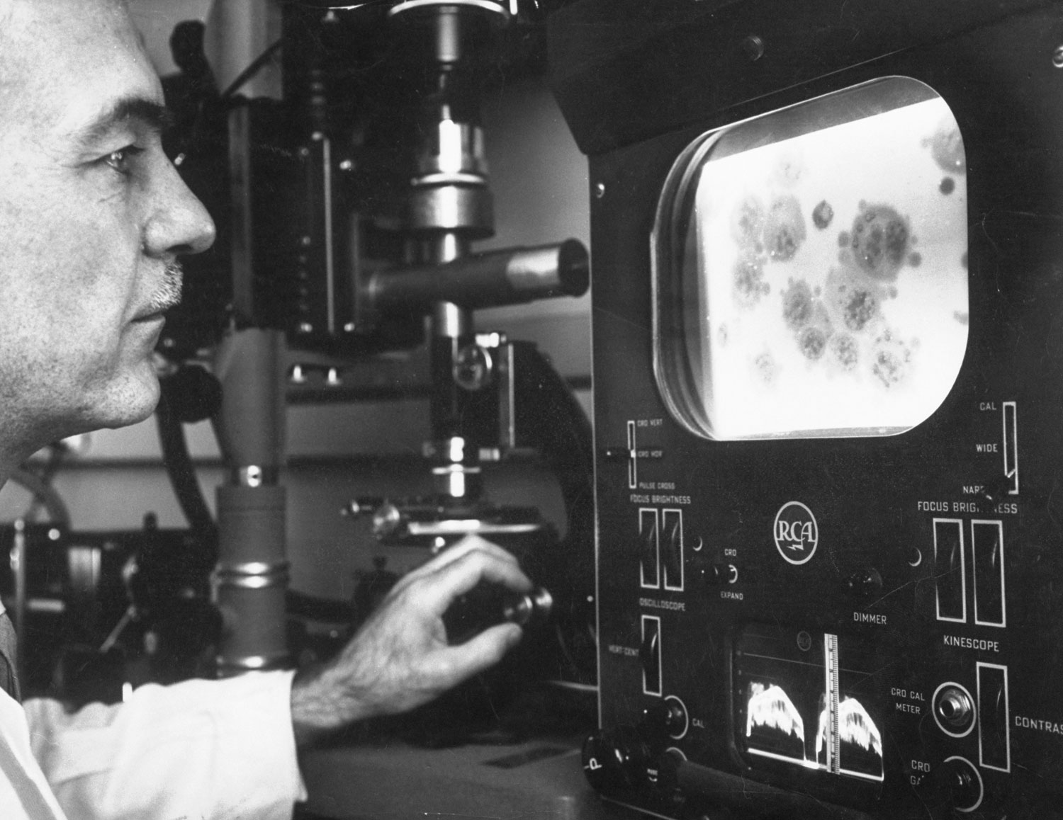<strong>Caption from LIFE.</strong> "Diseased cells, enlarged 2,000 times, are studied by Dr. George Z. Williams at National Cancer institute, Bethesda, Md., on ultraviolet TV microscope he helped develop. It reveals enzyme action."