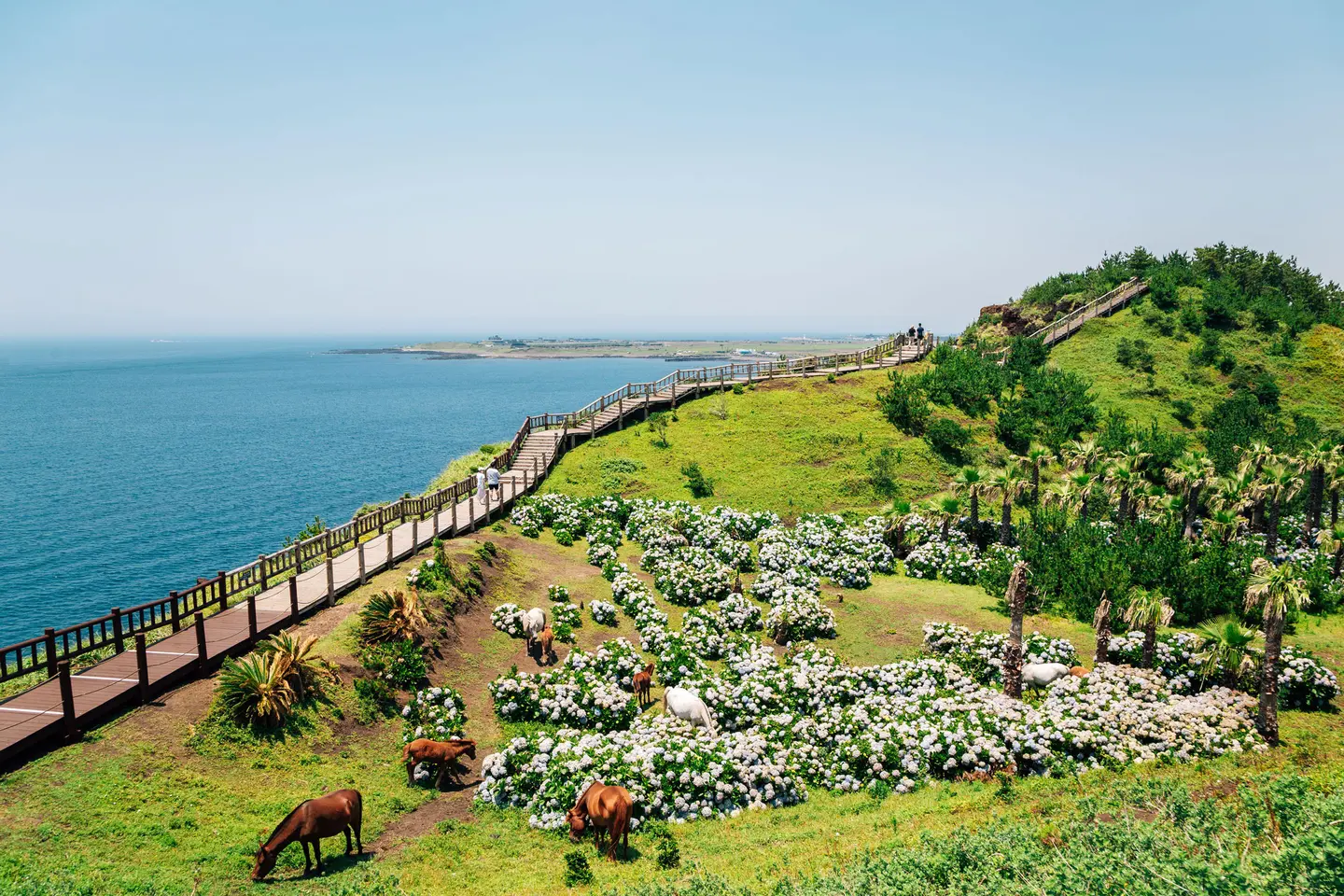 Your Guide to Spending the Summer Studying in South Korea