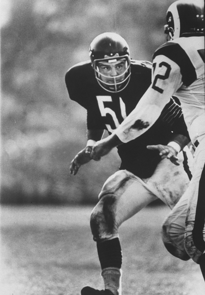 Dick Butkus, 1965: Photos of the Baddest Rookie the NFL Has Ever Seen