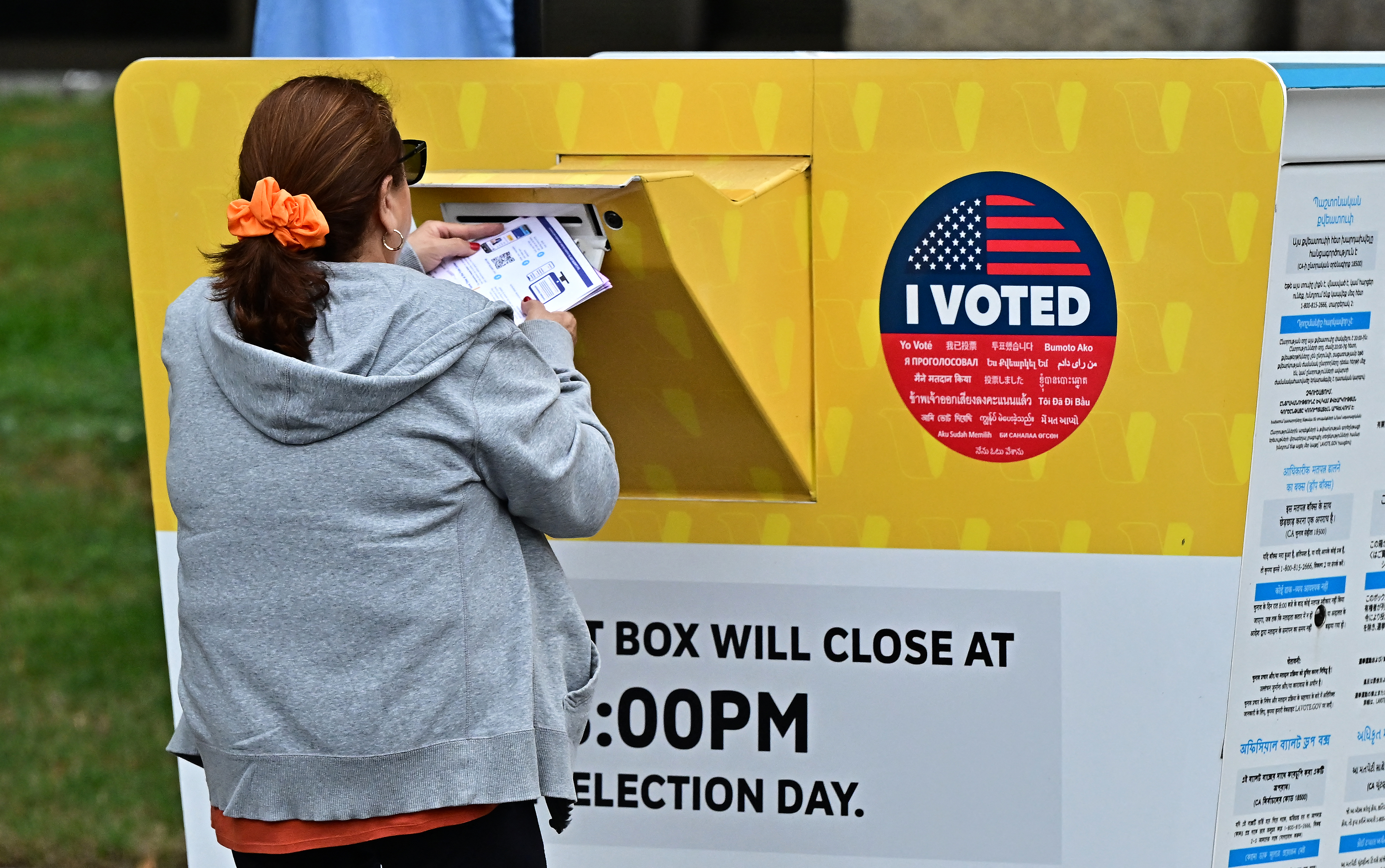 How to Check If Your 2024 Election Vote Has Been Counted