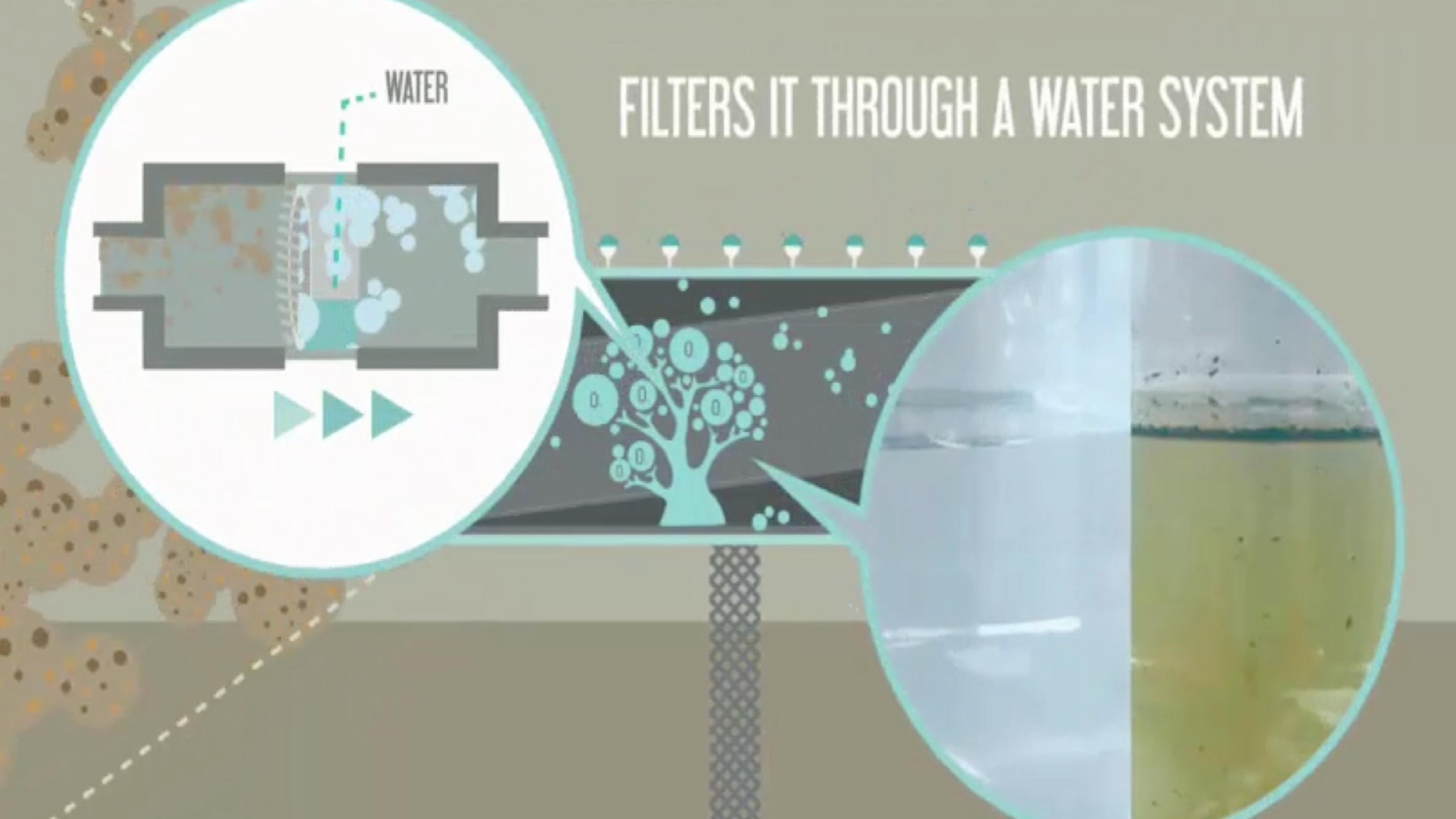 Maintenance, safety, and water quality