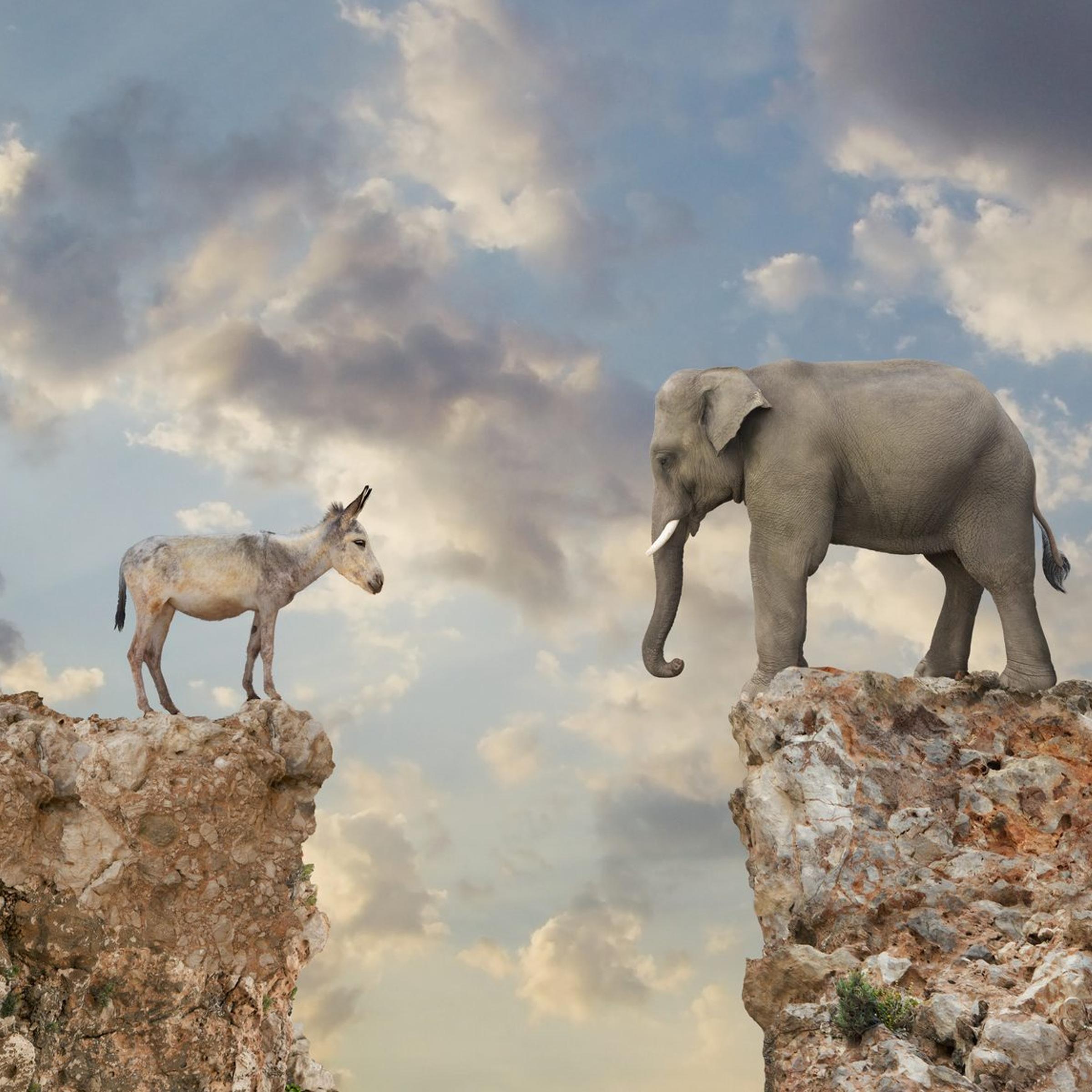 Donkey and elephant separated by gap in cliff