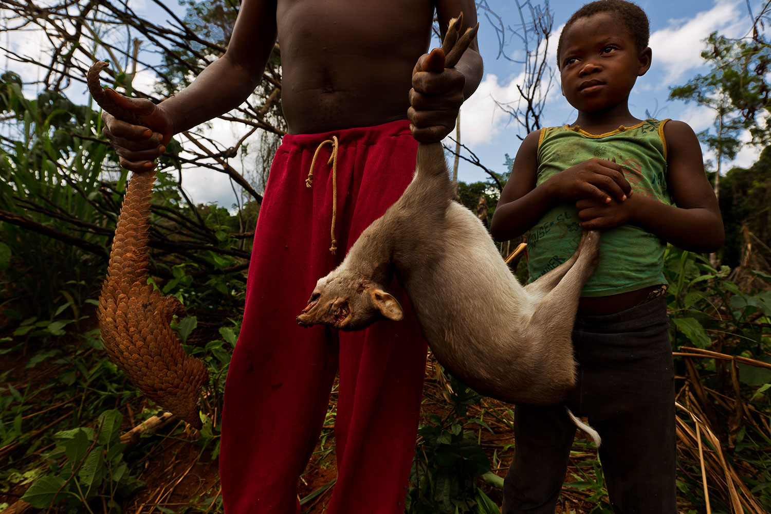 Locals display bushmeat sold and purchased all along the logging roads of Cameroon on June 6, 2010. Killing and selling forest animals for food is not illegal at this time but as the logging industry creates roads and towns, the pressure on bushmeat may lead to the rapid eradication of wildlife.