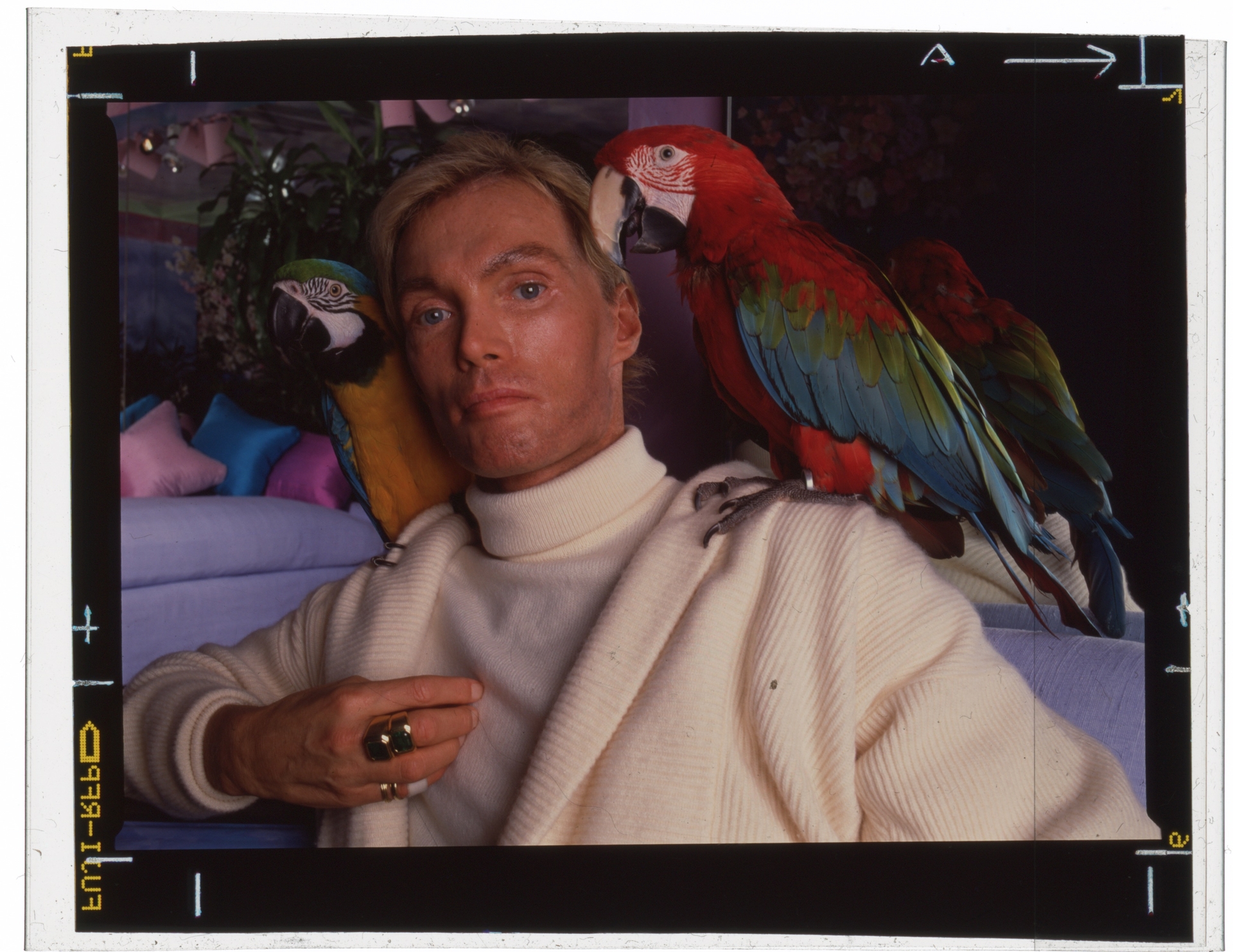 The True Story Behind Bring Me the Beauties and the Eternal Values Cult