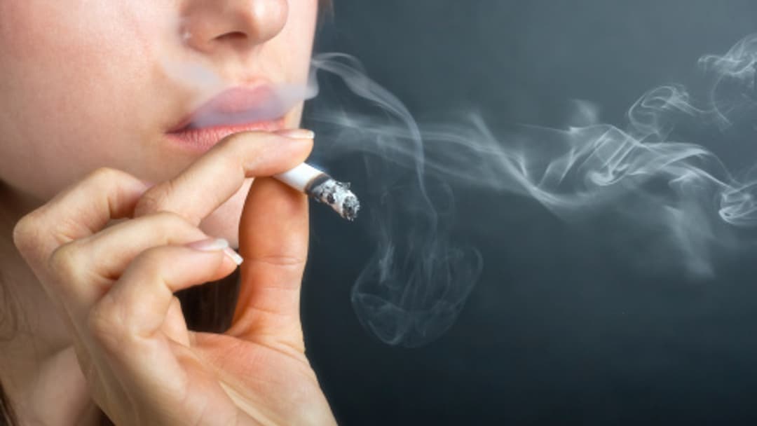 cigarette smoke bad for dogs The severe dangers of smoking around your dog cigarette smoke bad for dogs The severe dangers of smoking around your dog