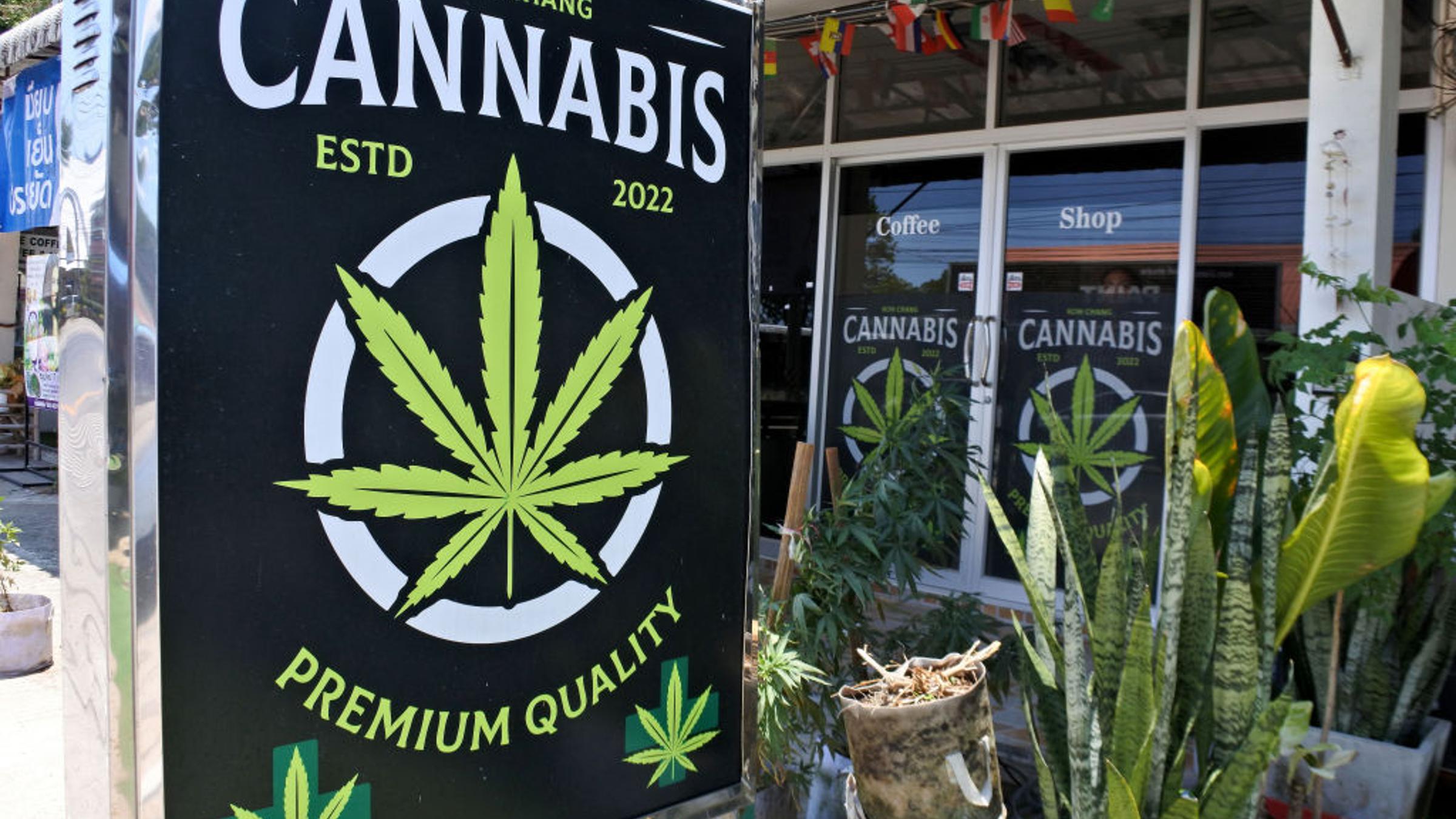 Thailand's Cannabis Recriminalization Risks Protests and Lawsuits Thailand's Cannabis Recriminalization Risks Protests and Lawsuits