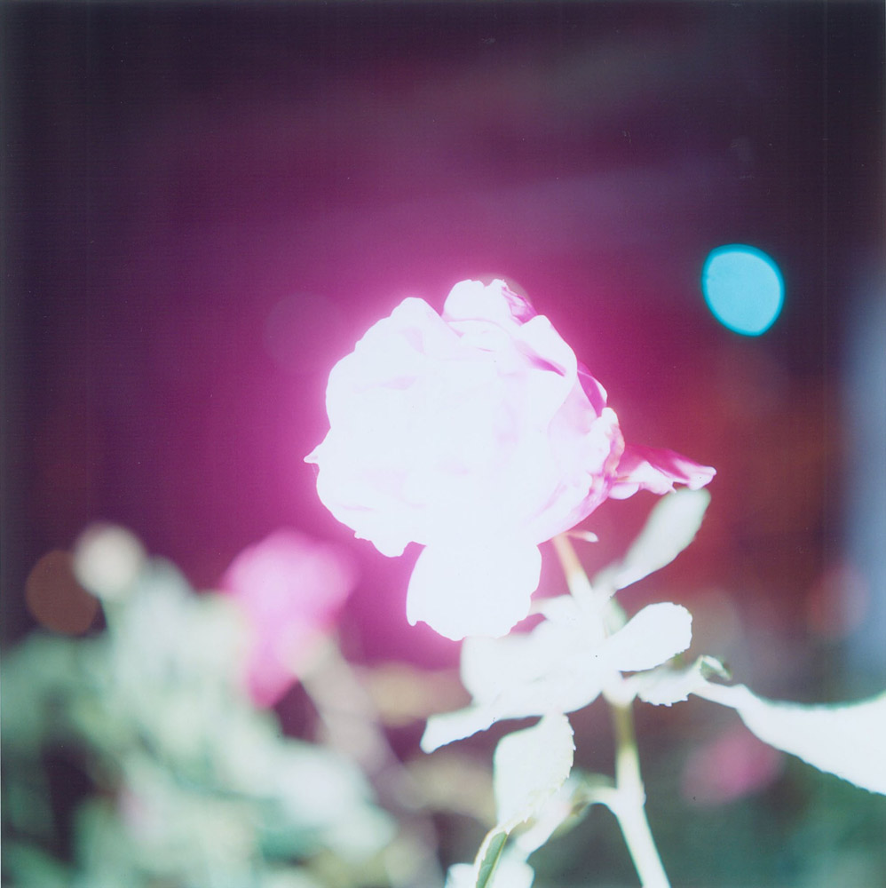 Rinko Kawauchi's Illuminance