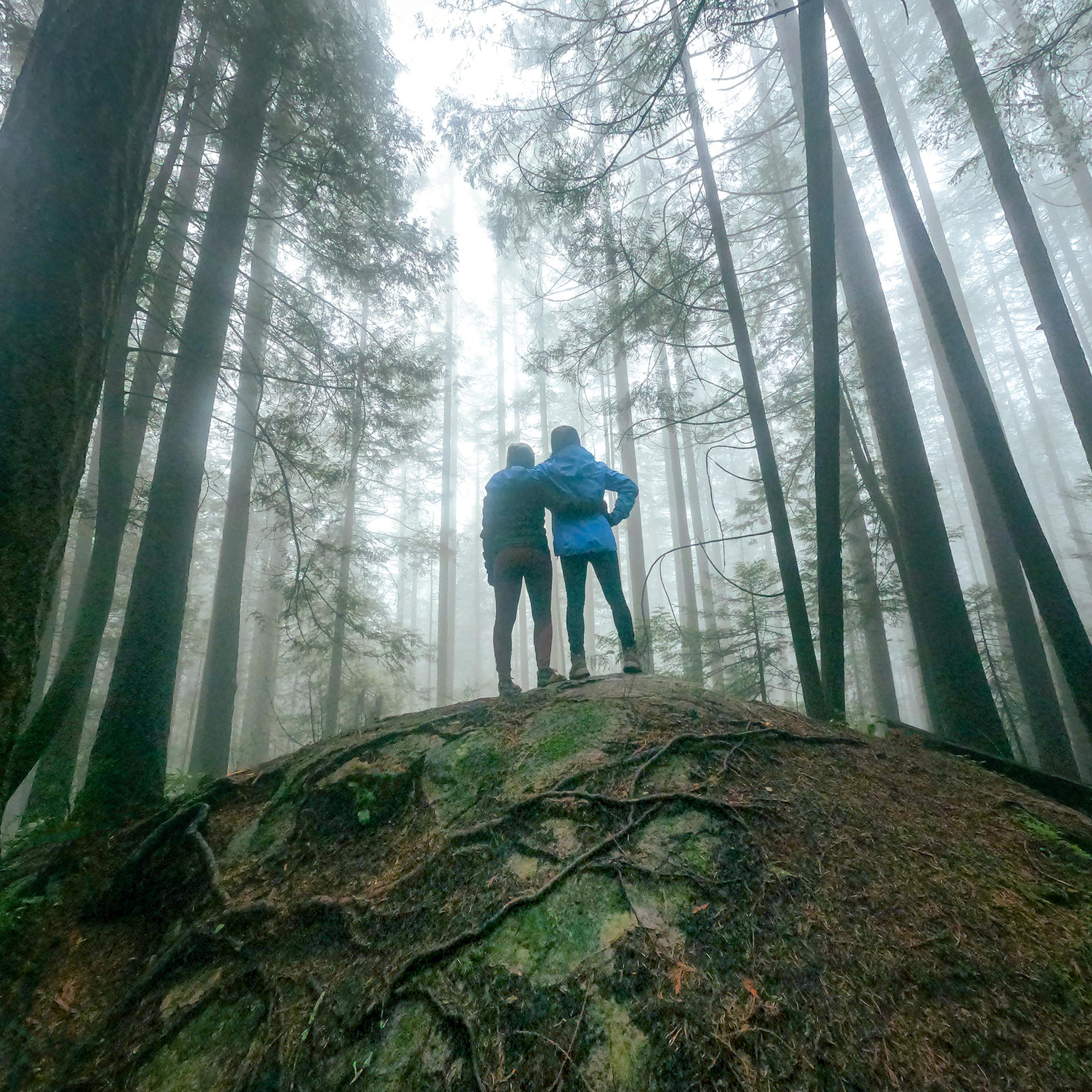 Daughter and Mother Looking at View of Misty Winter Forest