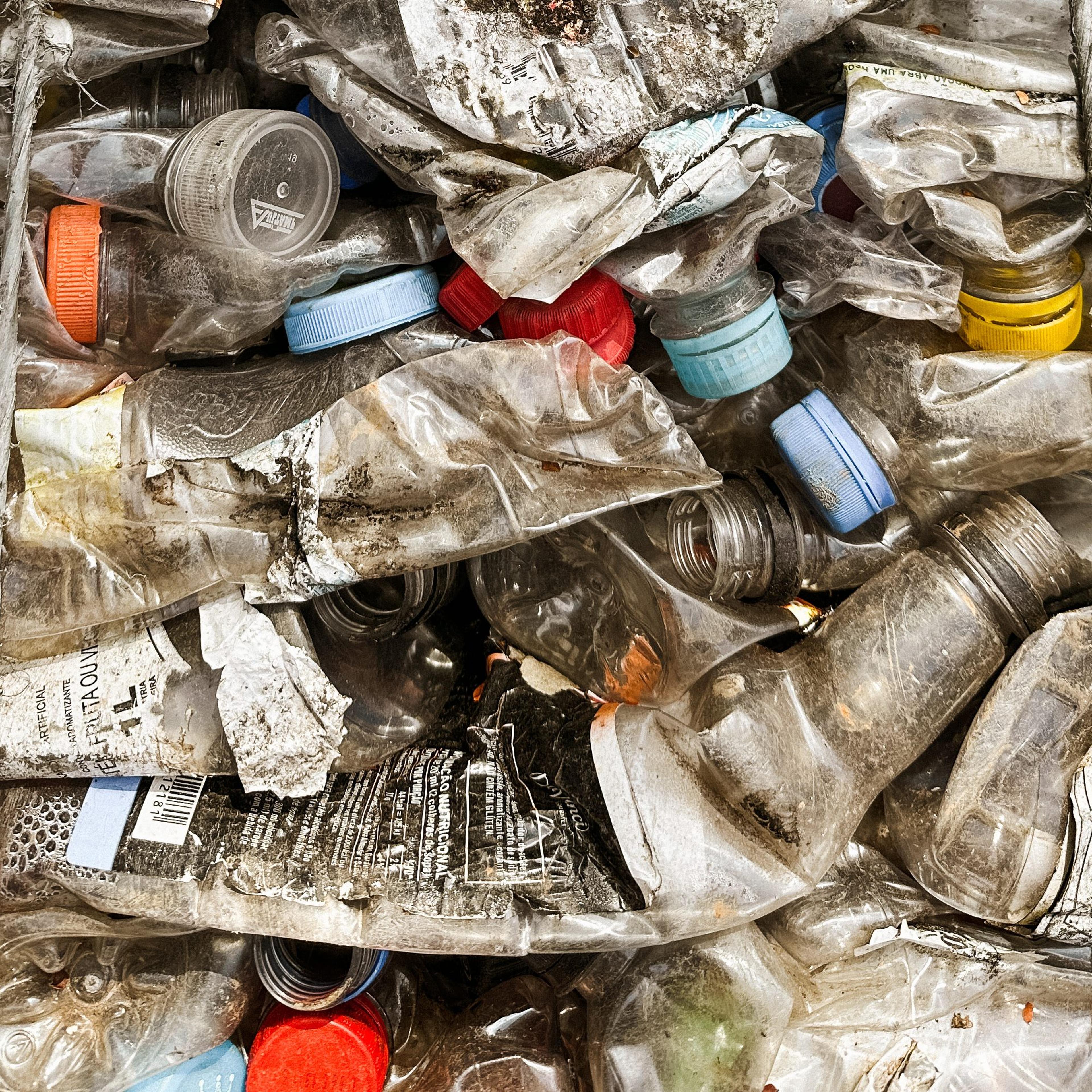 PET plastic bottles, pressed and baled.