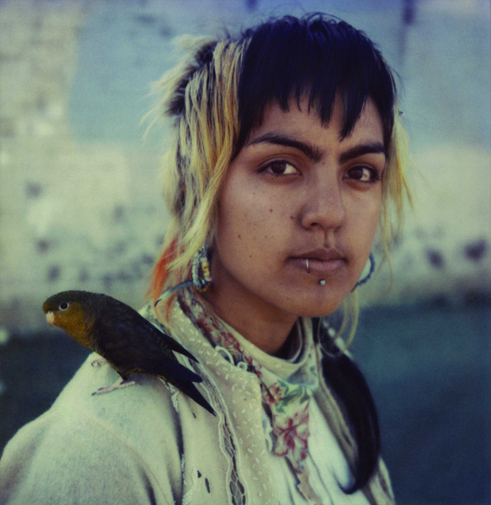 The Unseen Lives of Train Hoppers
