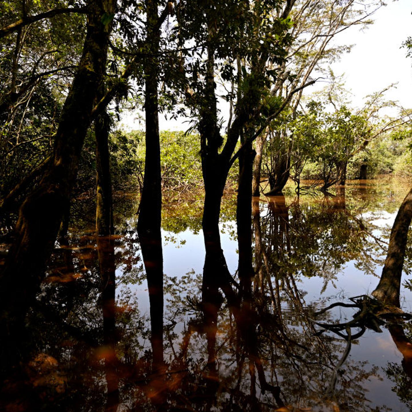 ECUADOR-ENVIRONMENT-CLIMATE-INDIGENOUS-FOREST-WATER