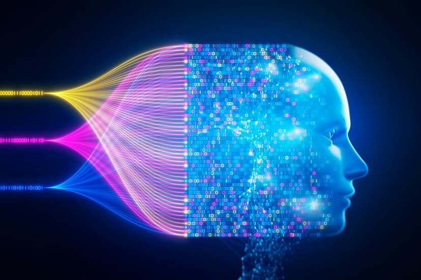 The Human-AI Alignment Problem