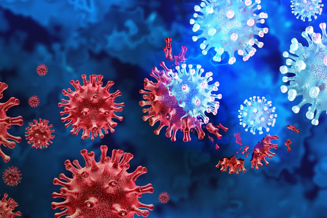What to Know About the New COVID-19 Variant NB.1.8.1