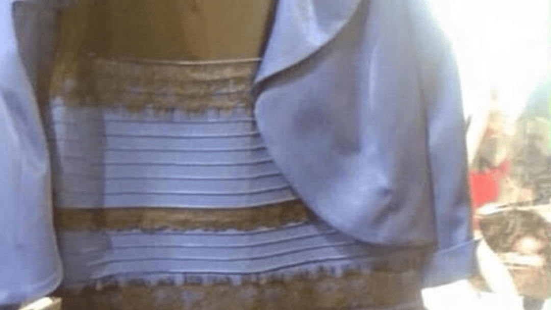 Here Is Proof That #TheDress is Black and Blue Here Is Proof That #TheDress is Black and Blue