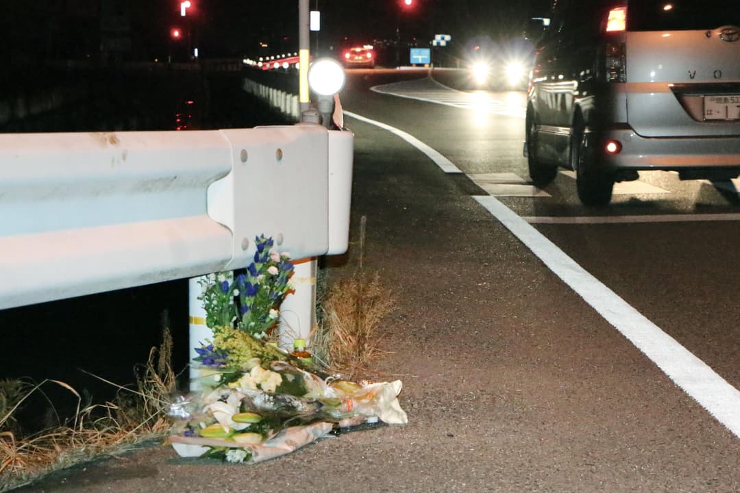 Pokémon Go: Driver Playing Game Kills Pedestrian In Japan