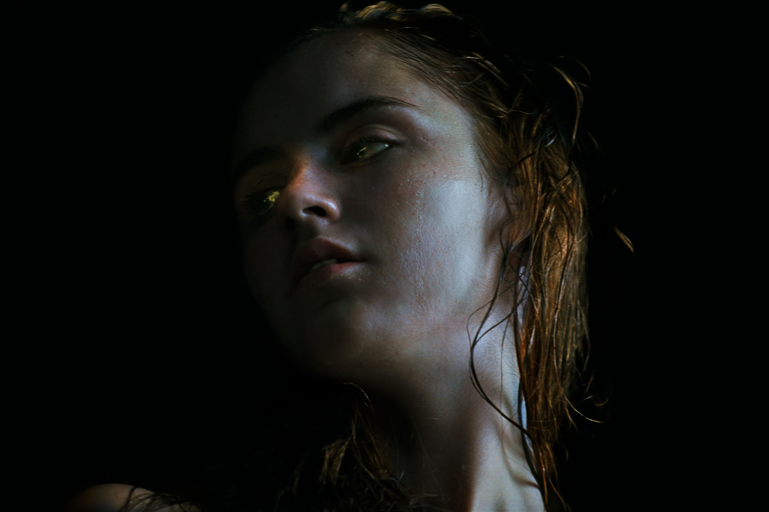 希少品】BILL HENSON photographs 1974 - 1984 本 【希少品】BILL