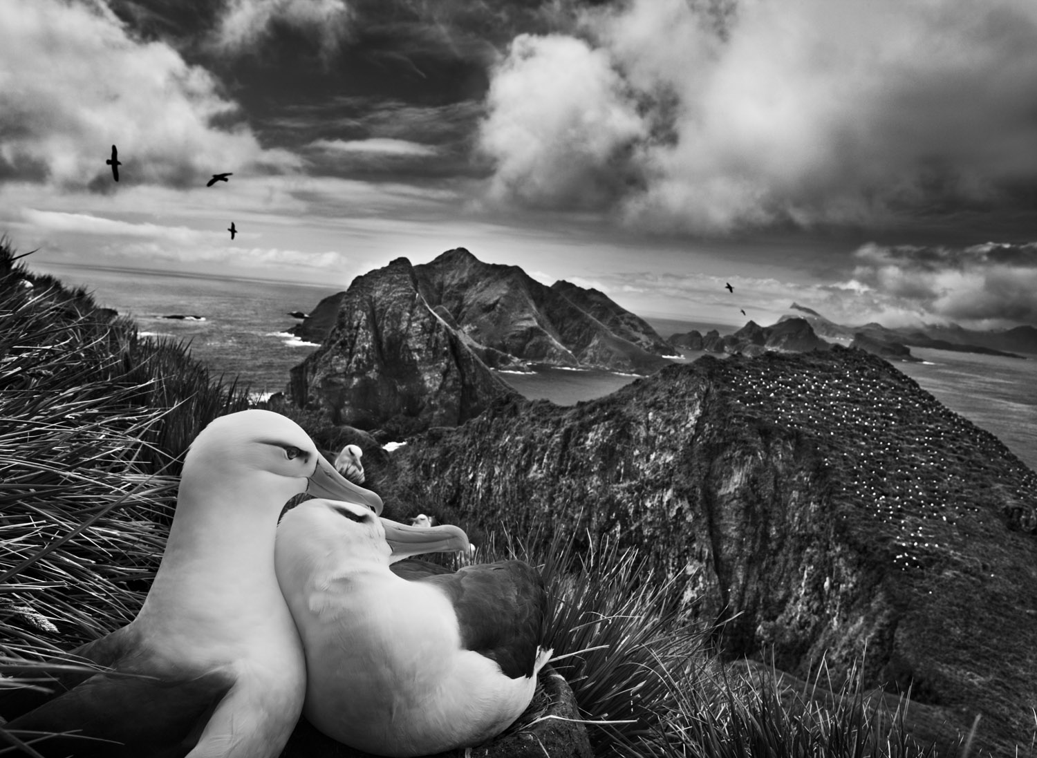 Sebastiao Salgado : Genesis - Expositions - Drôme
