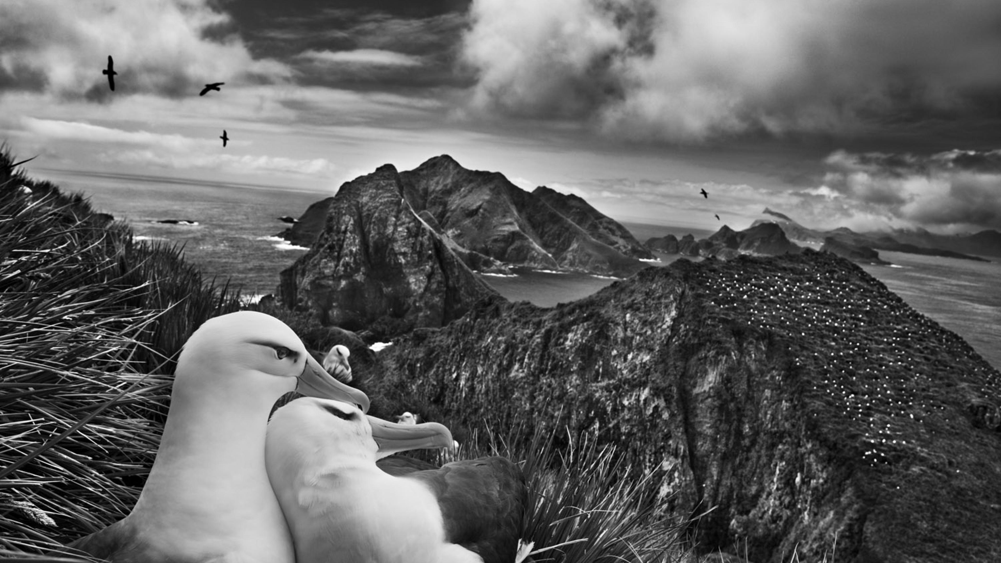 Sebastiao Salgado : Genesis - Expositions - Drôme Sebastiao Salgado : Genesis - Expositions - Drôme