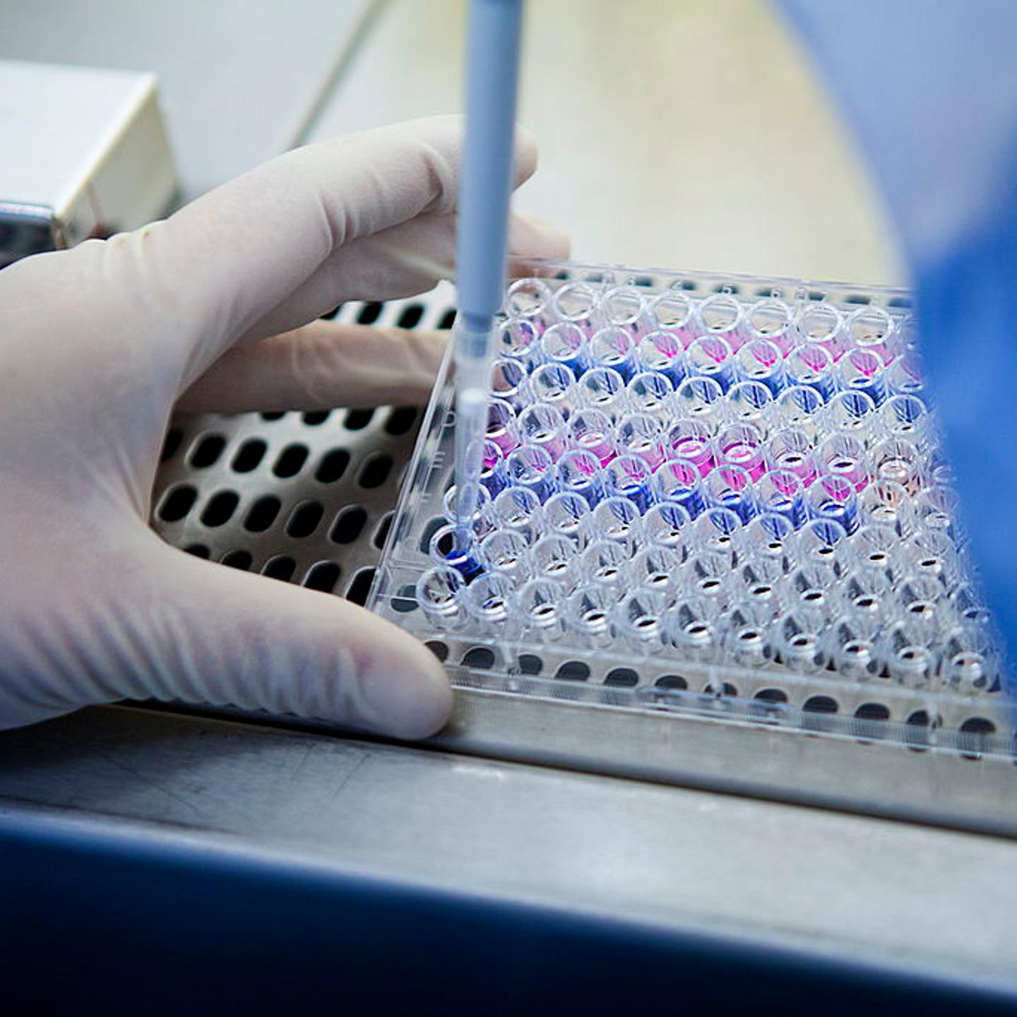 Cancer research laboratory