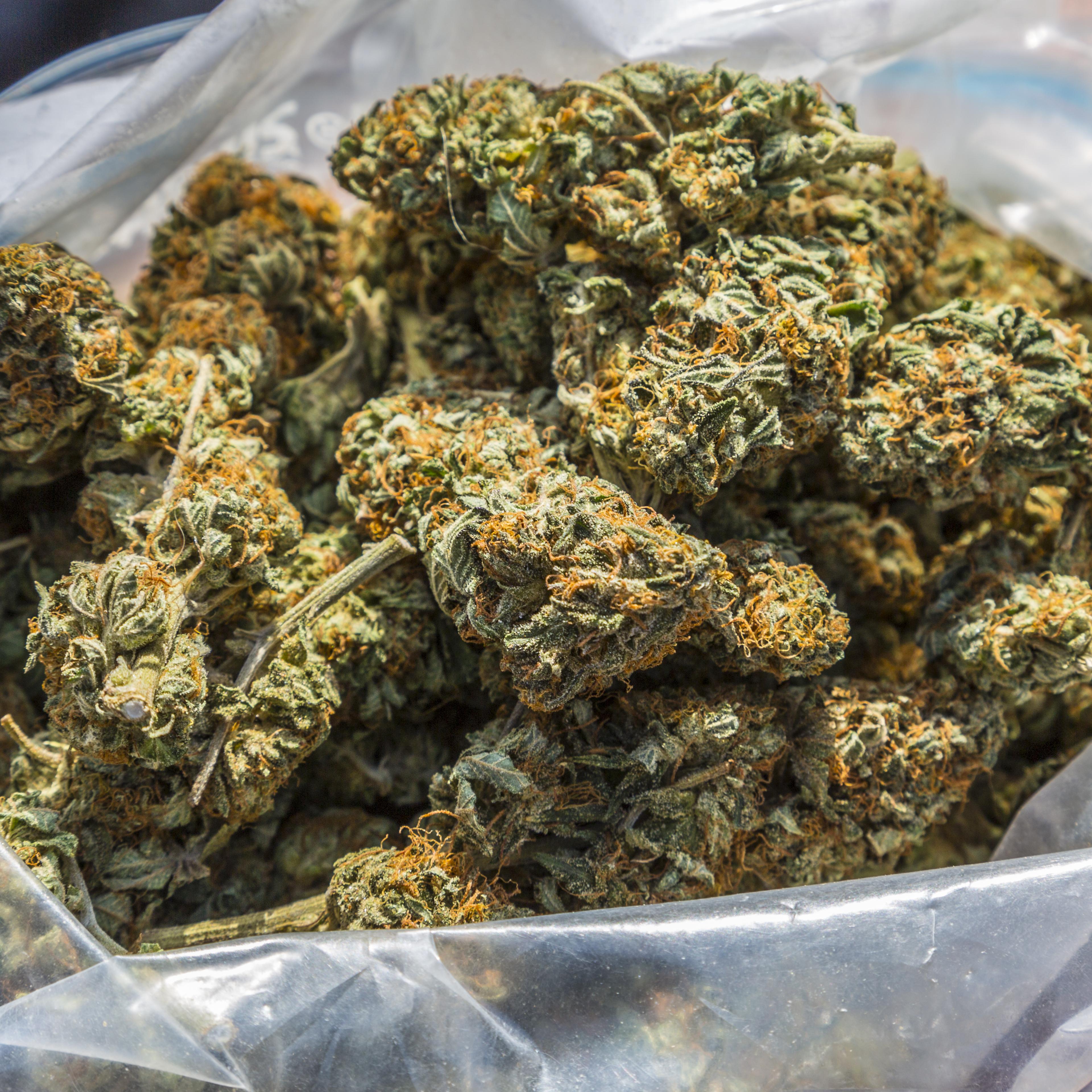 Marijuana