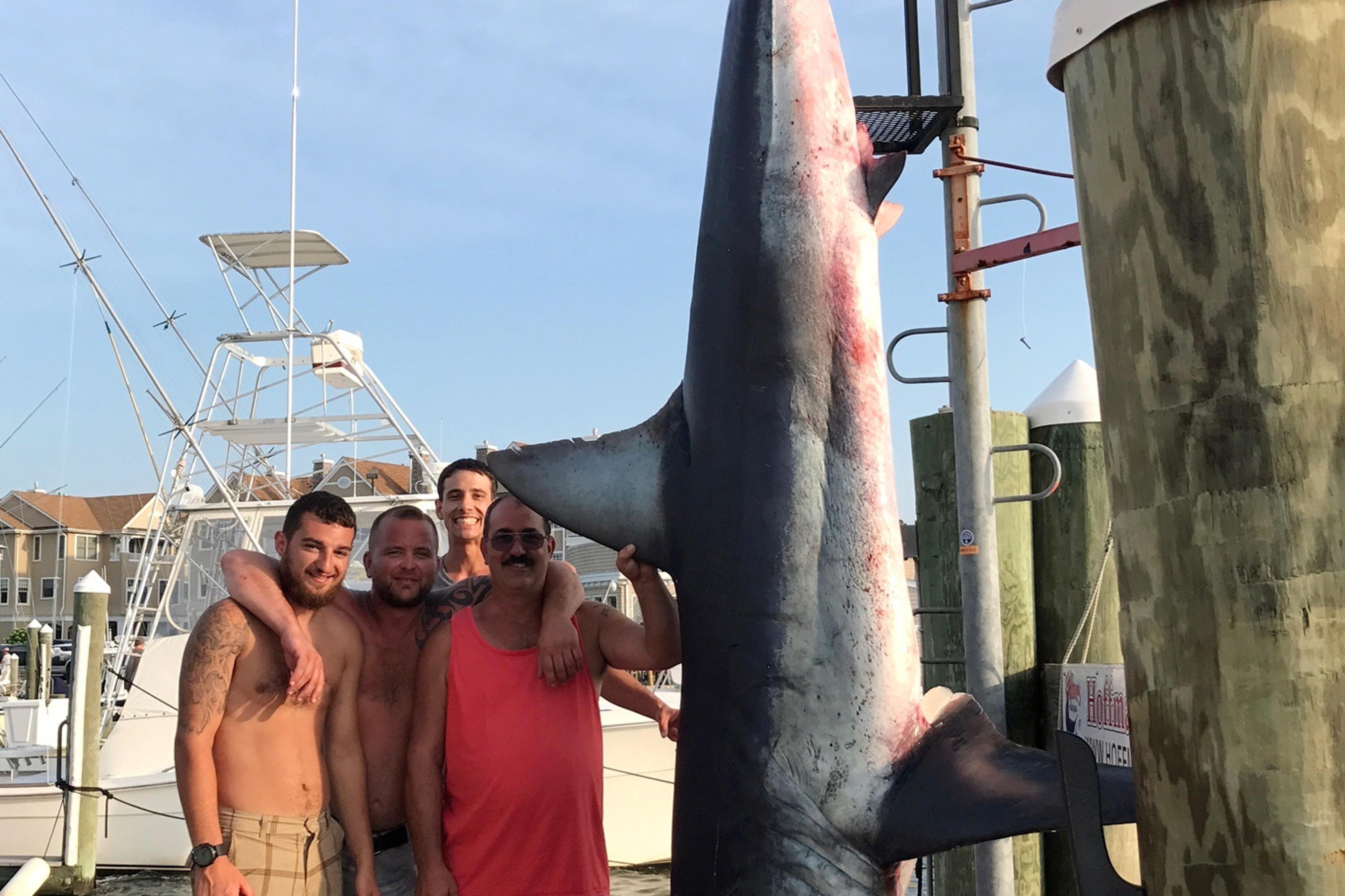New Jersey Fishing Crew Catches 926-Pound Mako Shark New Jersey Fishing Crew Catches 926-Pound Mako Shark