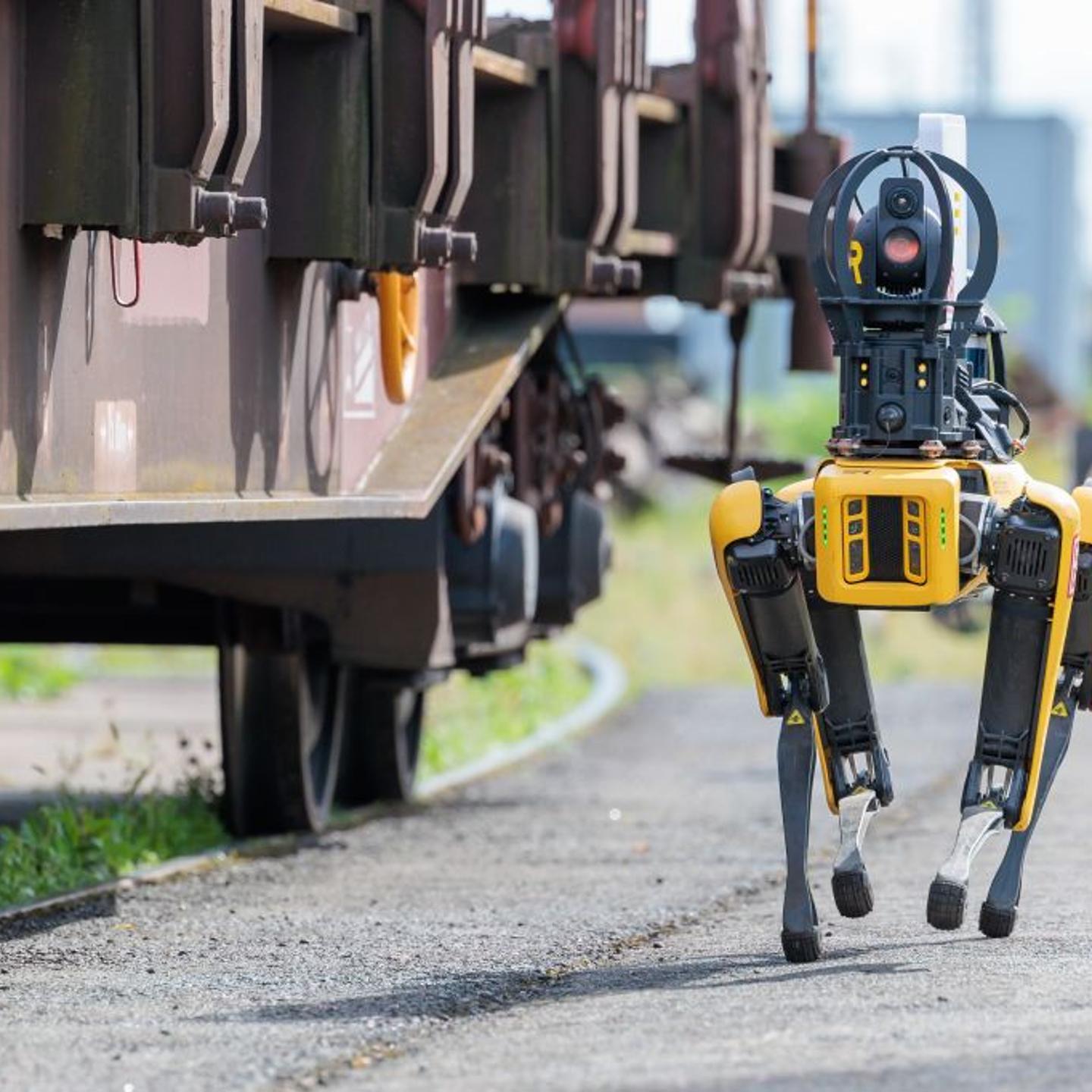 Robot dog for digital maintenance of freight cars