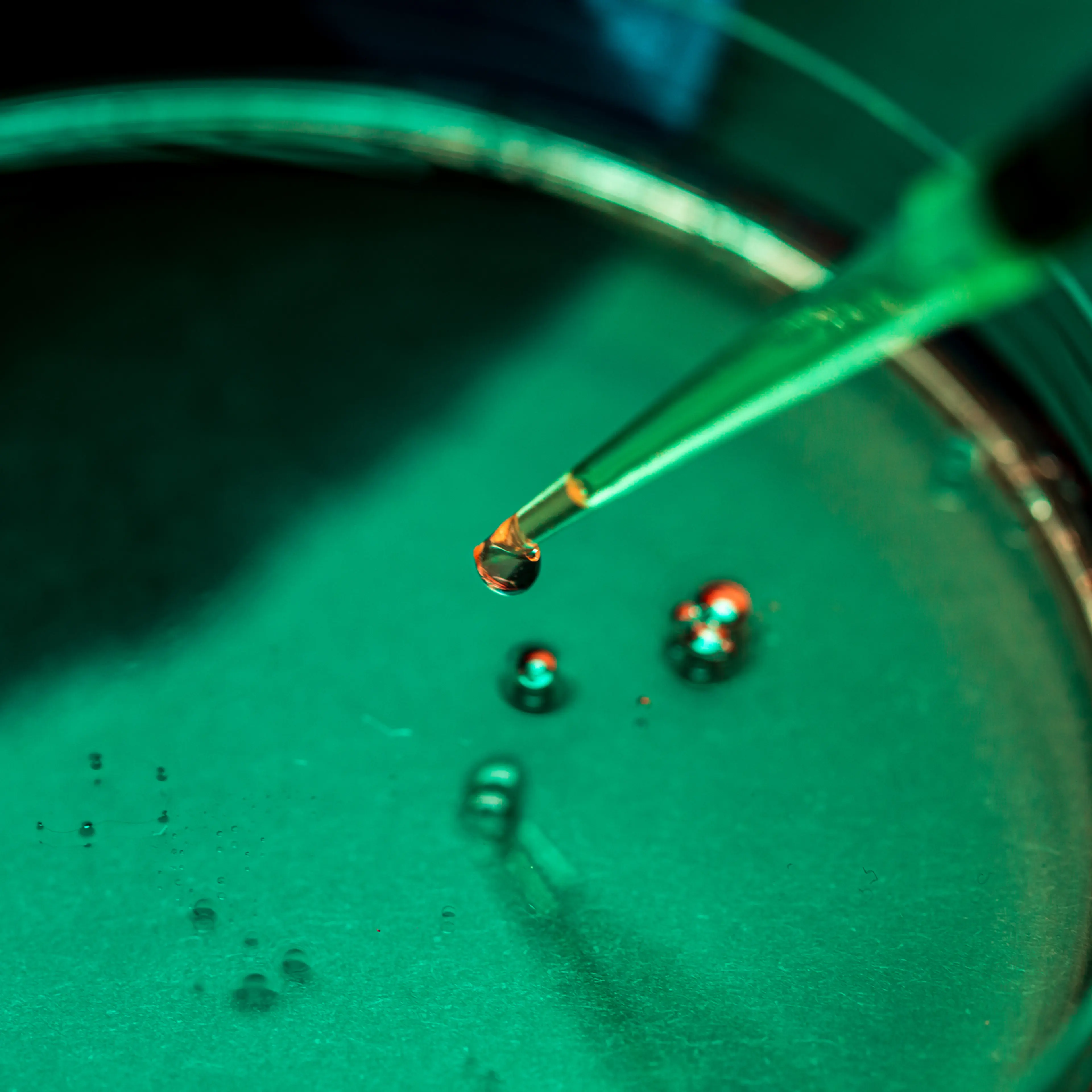 Detail of a drop of a fluid coming out of a pipette to be deposited in a petri dish by a scientist in a laboratory