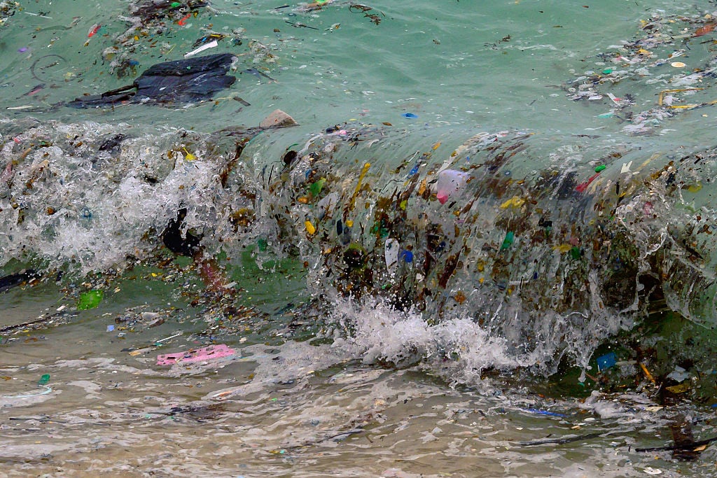 The Ocean's Health Is Deteriorating on Multiple Fronts, U.N.