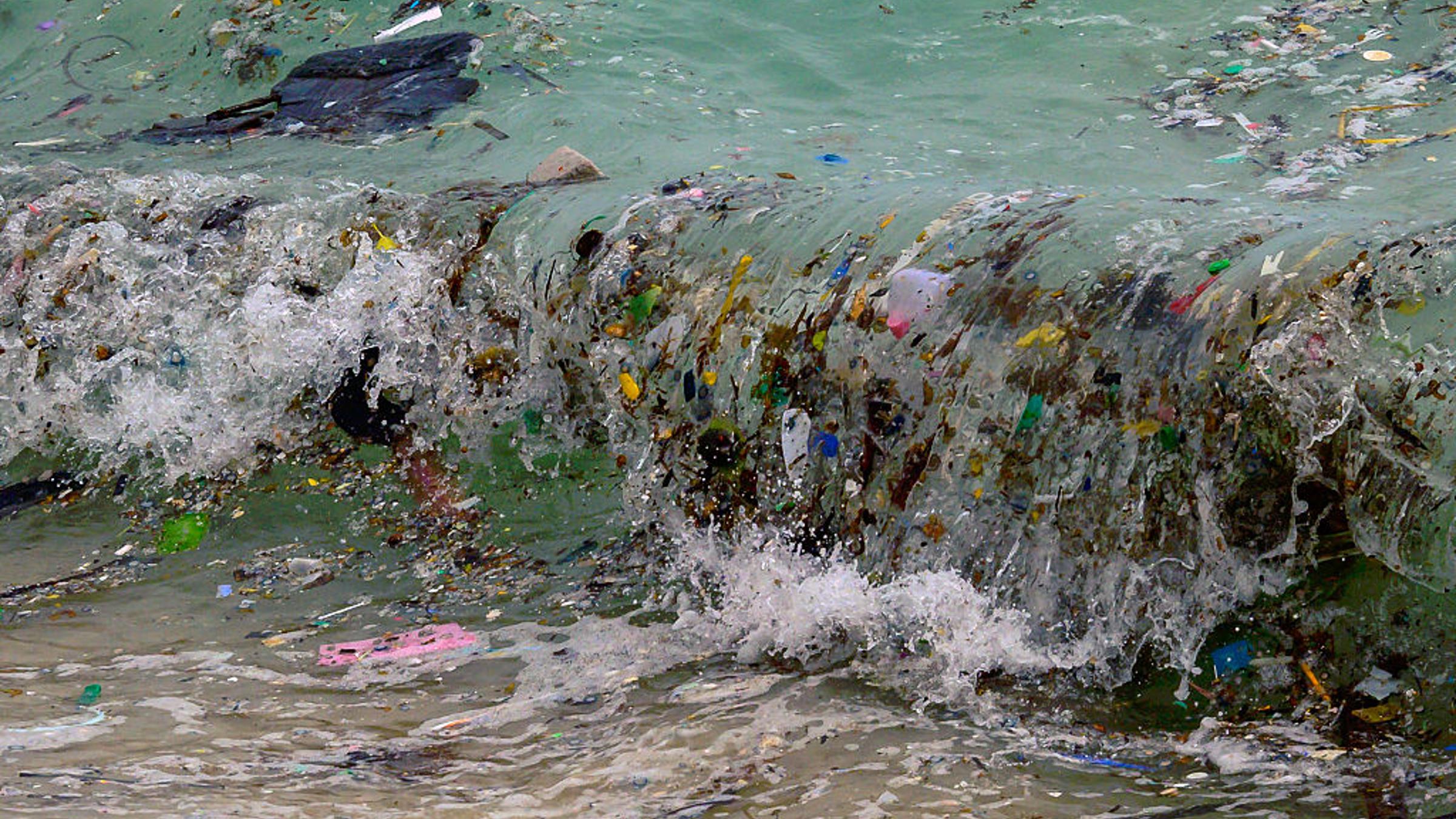 The Ocean's Health Is Deteriorating on Multiple Fronts, U.N. Scientists Warn