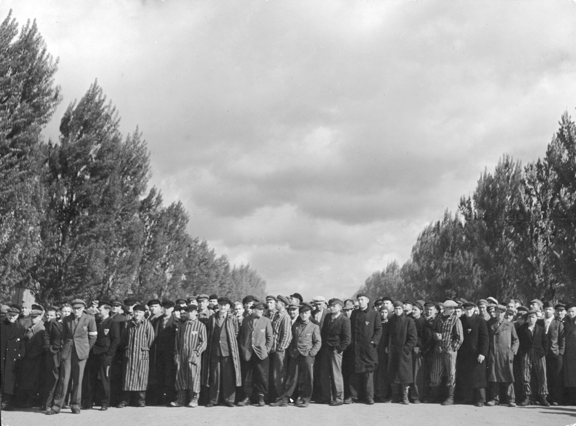 What TIME's Reporter Saw Happen at the Liberation of Dachau