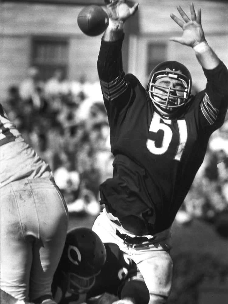 Dick Butkus, 1965: Photos of the Baddest Rookie the NFL Has Ever Seen