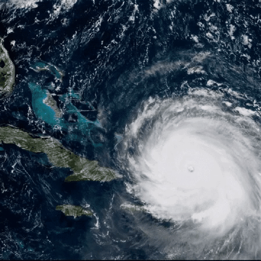 Twitter via @joelNihlean