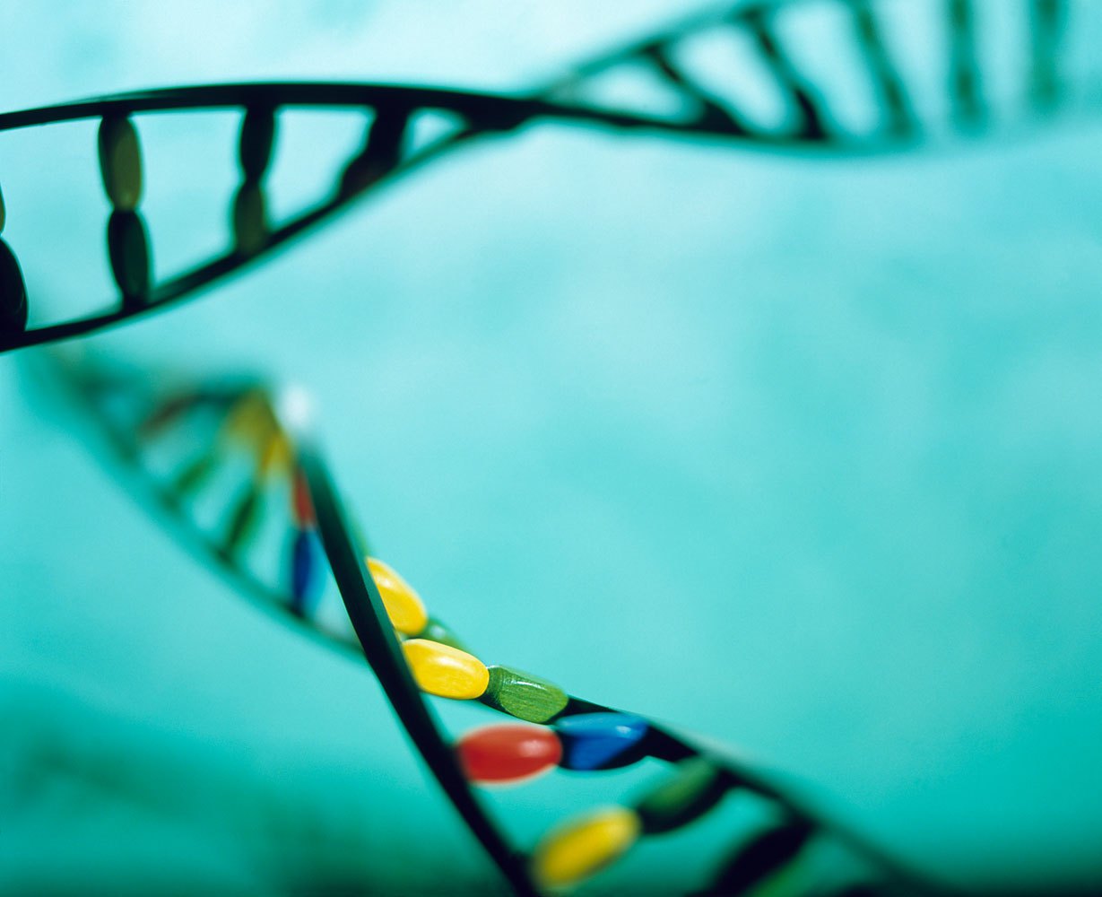 DNA helices