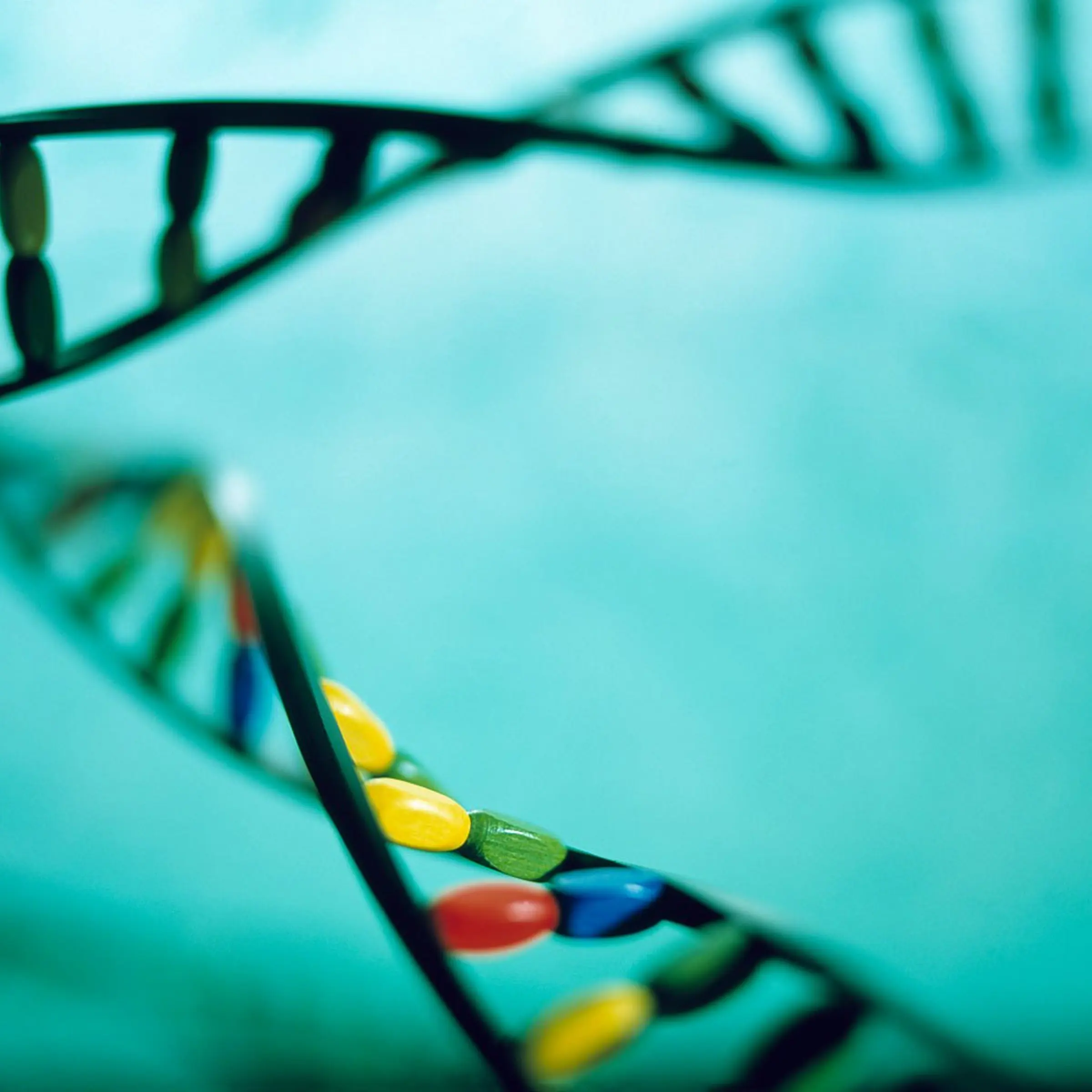DNA helices