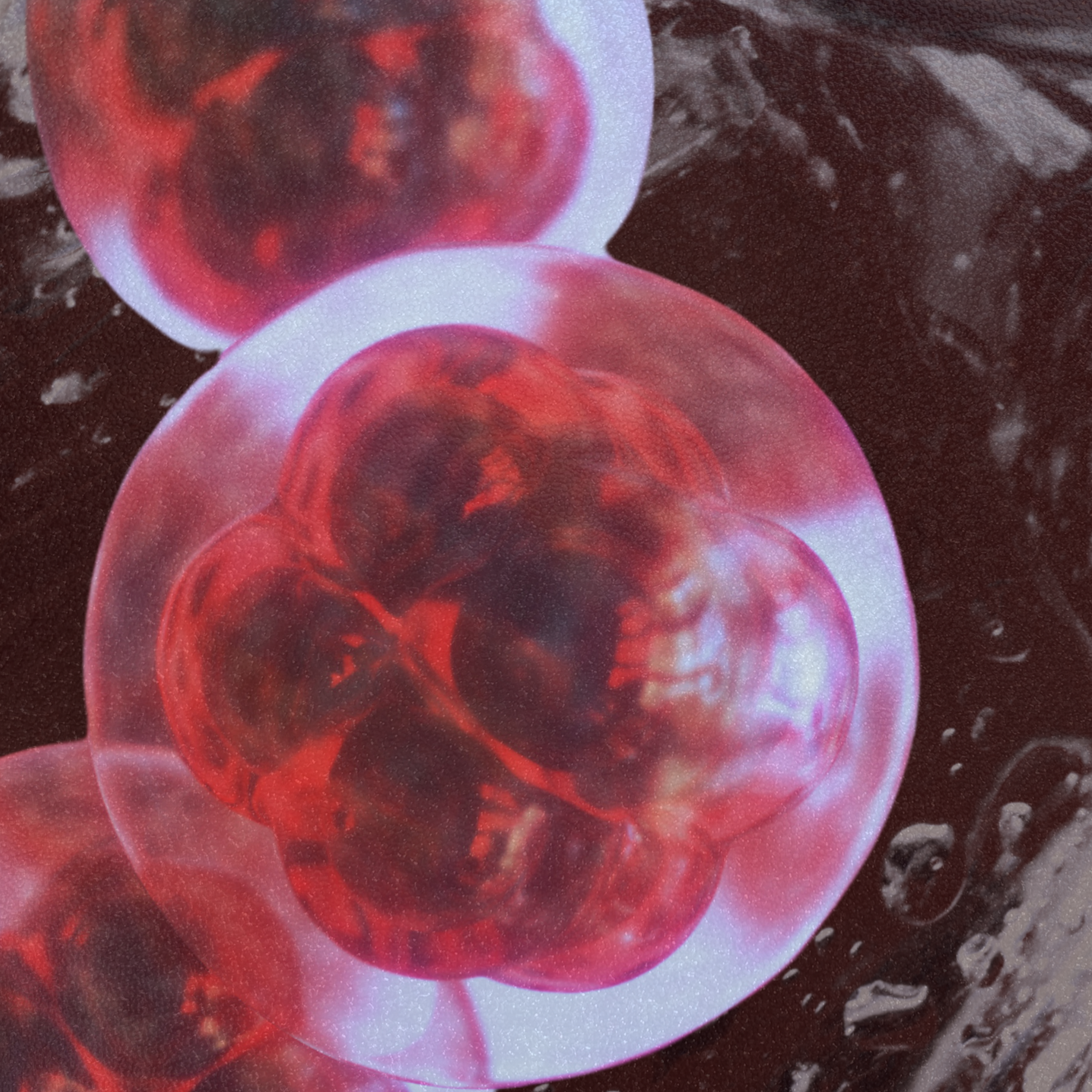 Embryos against an abstract background