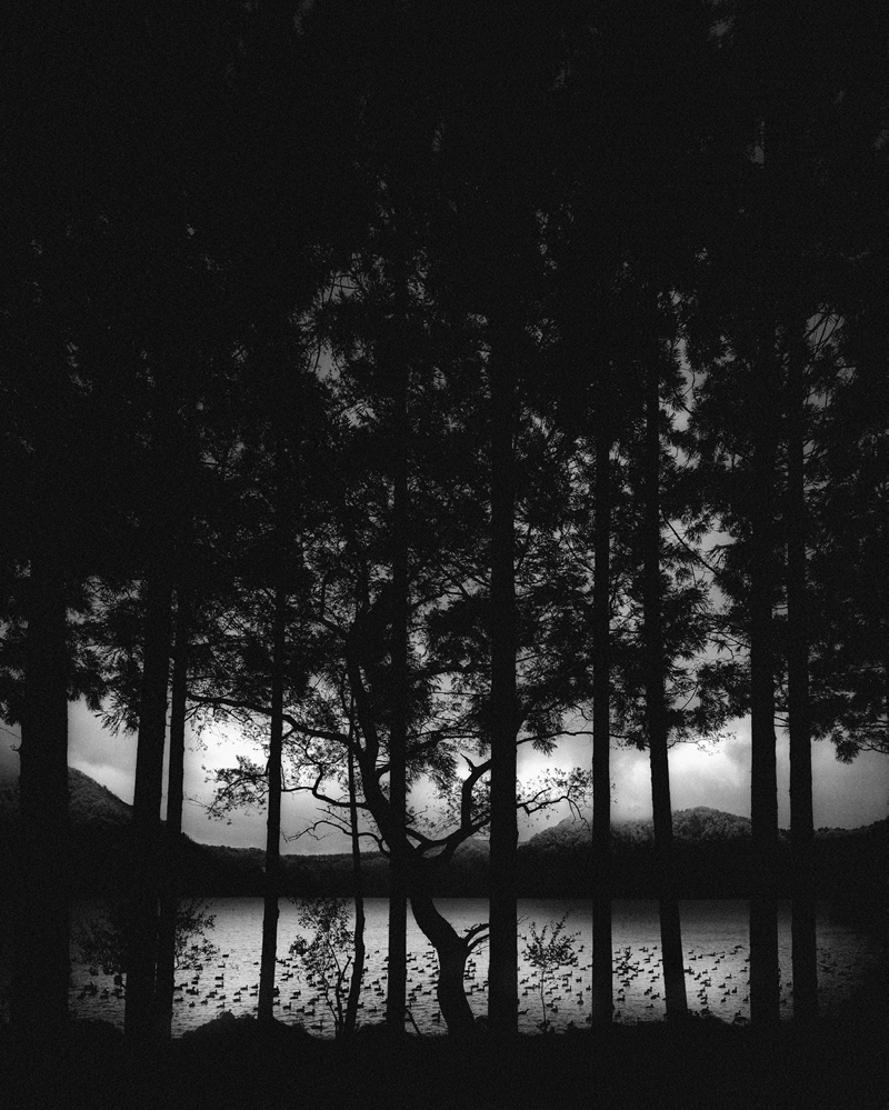 Here Far Away: The Visual Fables of Pentti Sammallahti