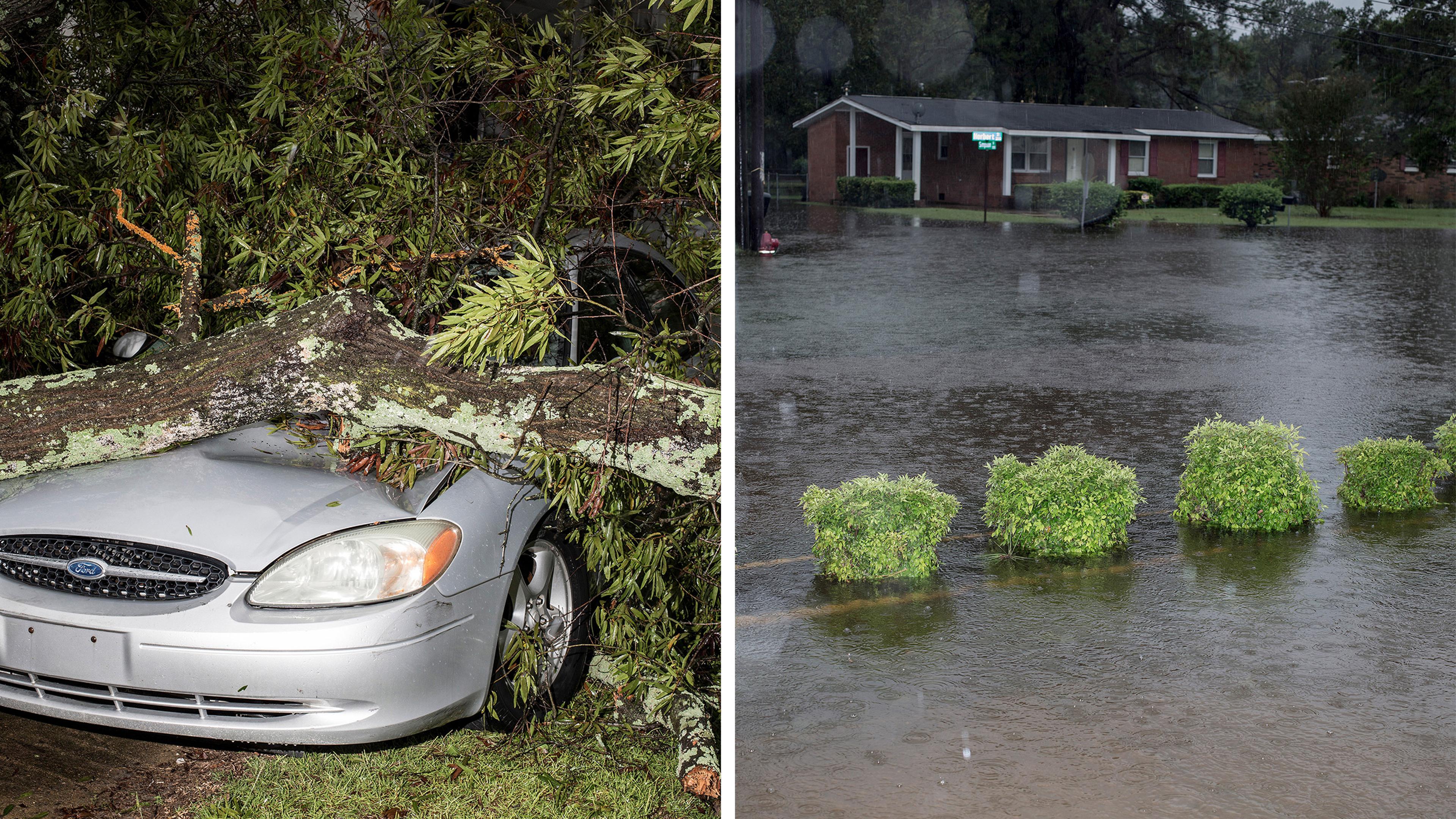 A car which was crushed by a fallen tree due to winds from Hurricane Florence in Goldsboro, N.C. on Saturday, September 15, 2018.CREDIT: Bryan Anselm/Redux for Time