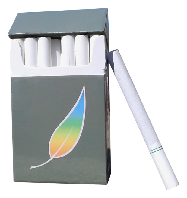 cigarette action An Urgent Call for Action on World No Tobacco Day 2024