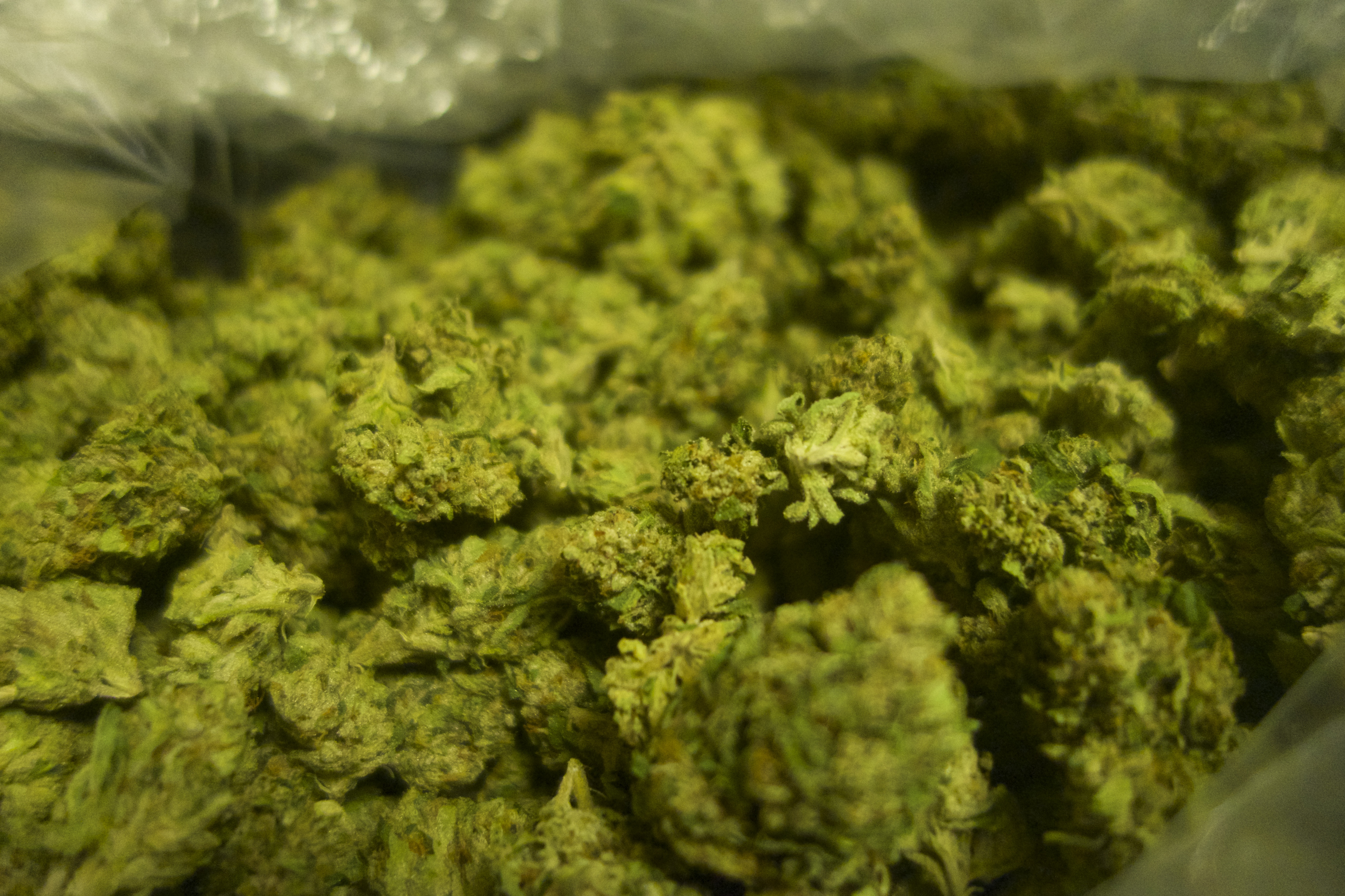 420 Day: Why There Are 1,000 Slang Terms for Marijuana