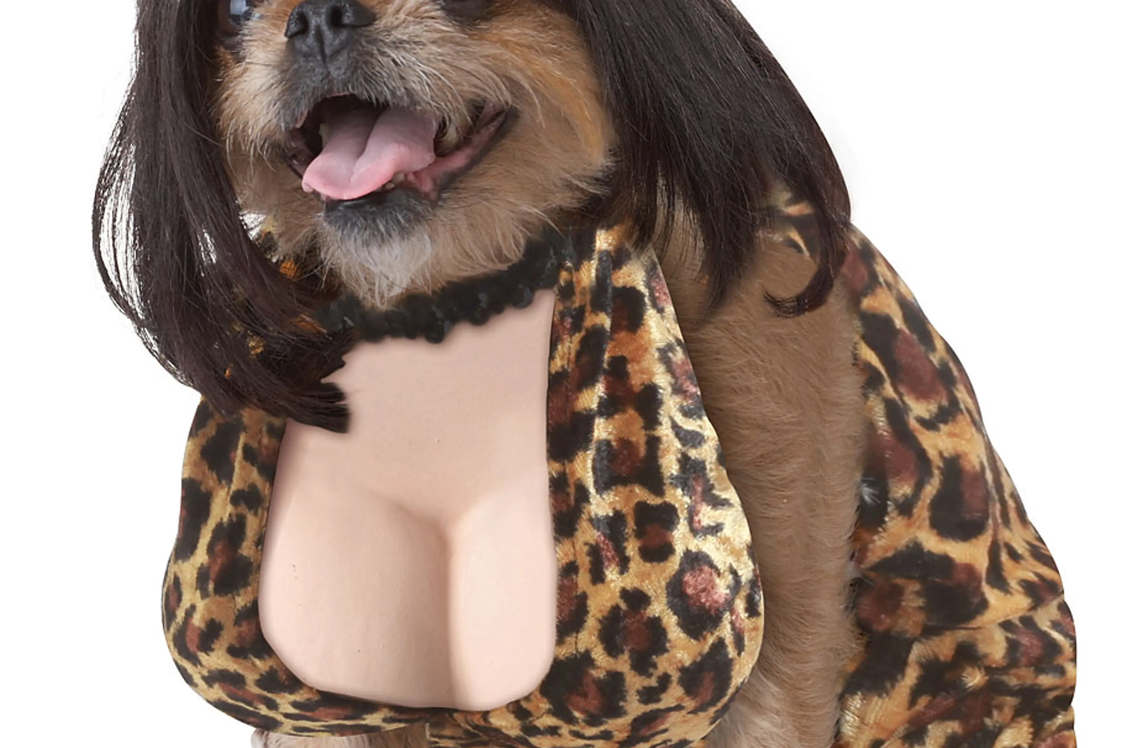 Sexy Halloween Costumes for Dogs, Pets and Humans Sexy Halloween Costumes for Dogs, Pets and Humans