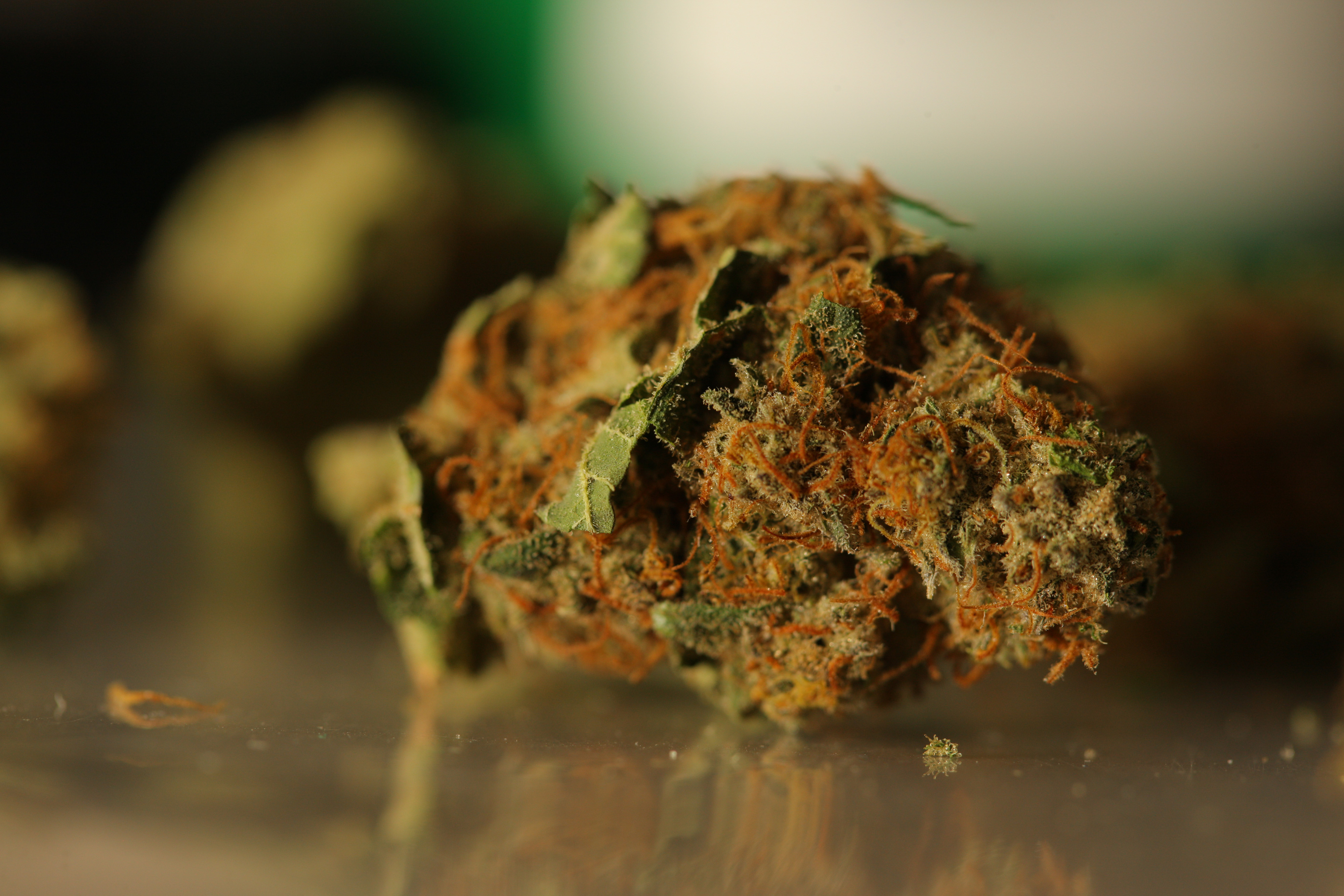 Pot Prices Double as Colorado Retailers Roll Out Green Carpet
