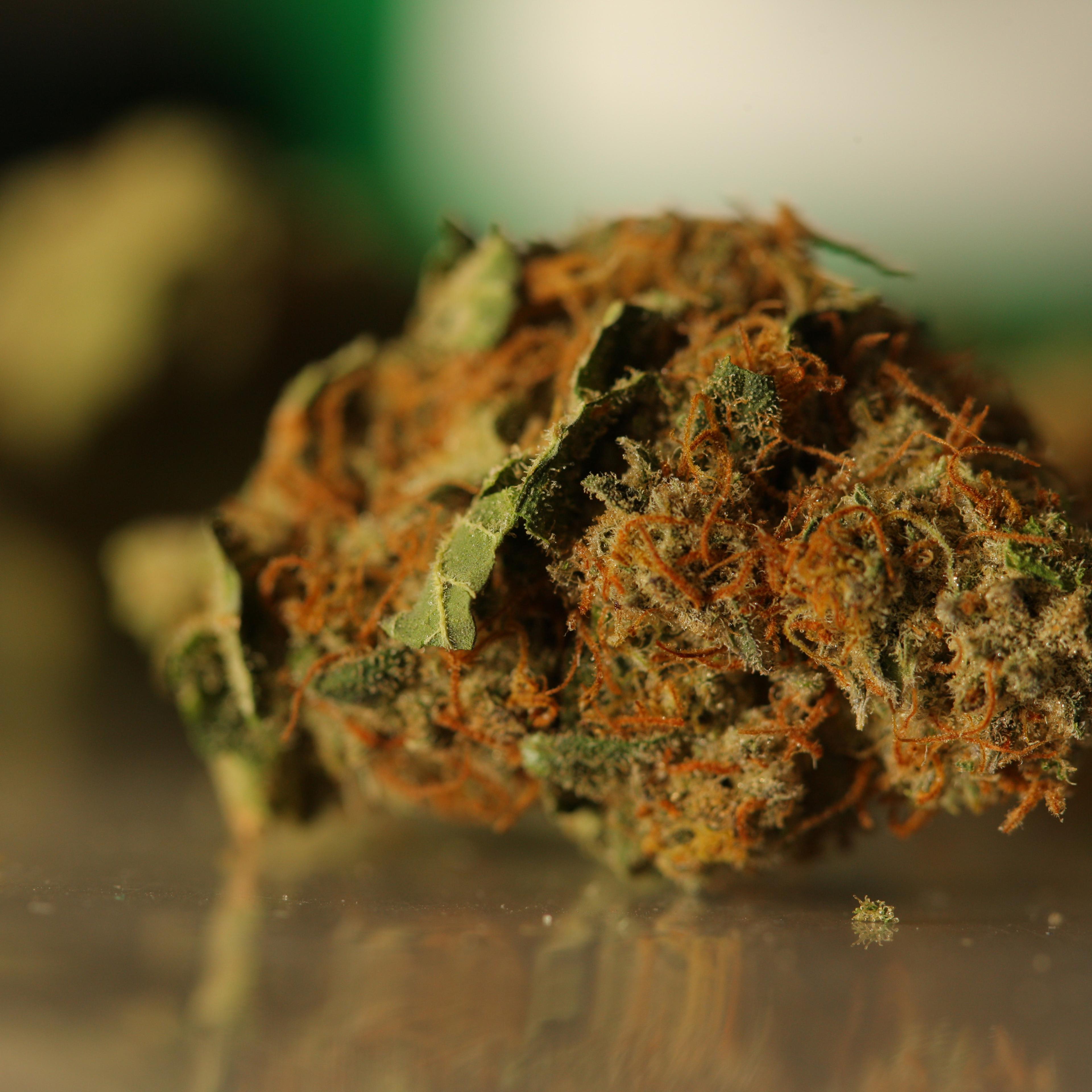 Pot Prices Double as Colorado Retailers Roll Out Green Carpet