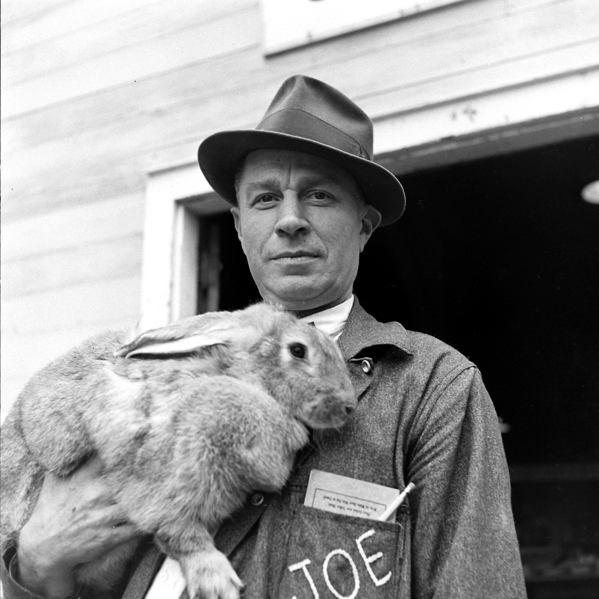 Easter Rabbit Pictures From LIFE Magazine's Archives