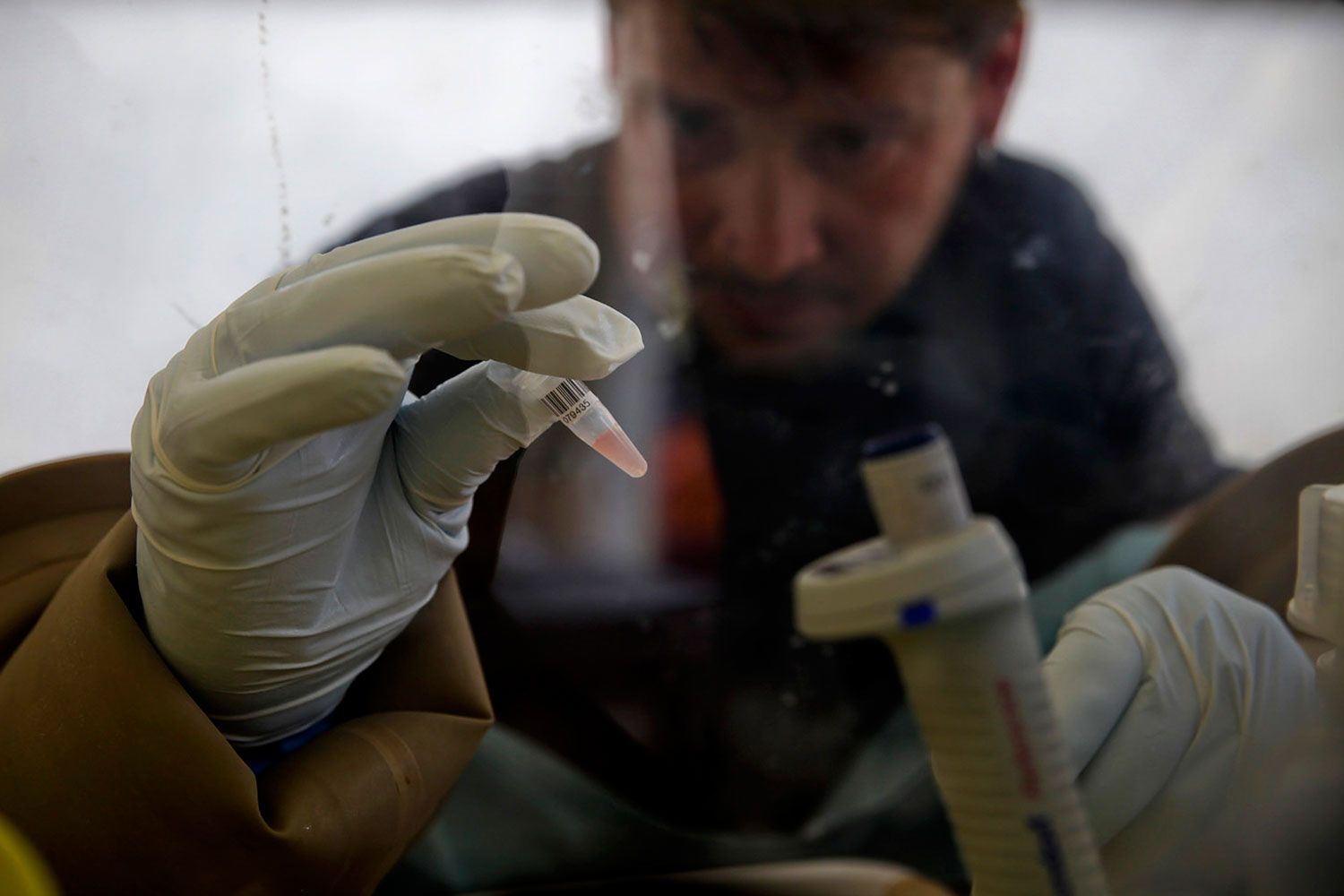 A scientist separates blood cells from plasma cells to isolate any Ebola RNA in order to test for the virus at the European Mobile Laboratory in Gueckedou April 3, 2014.