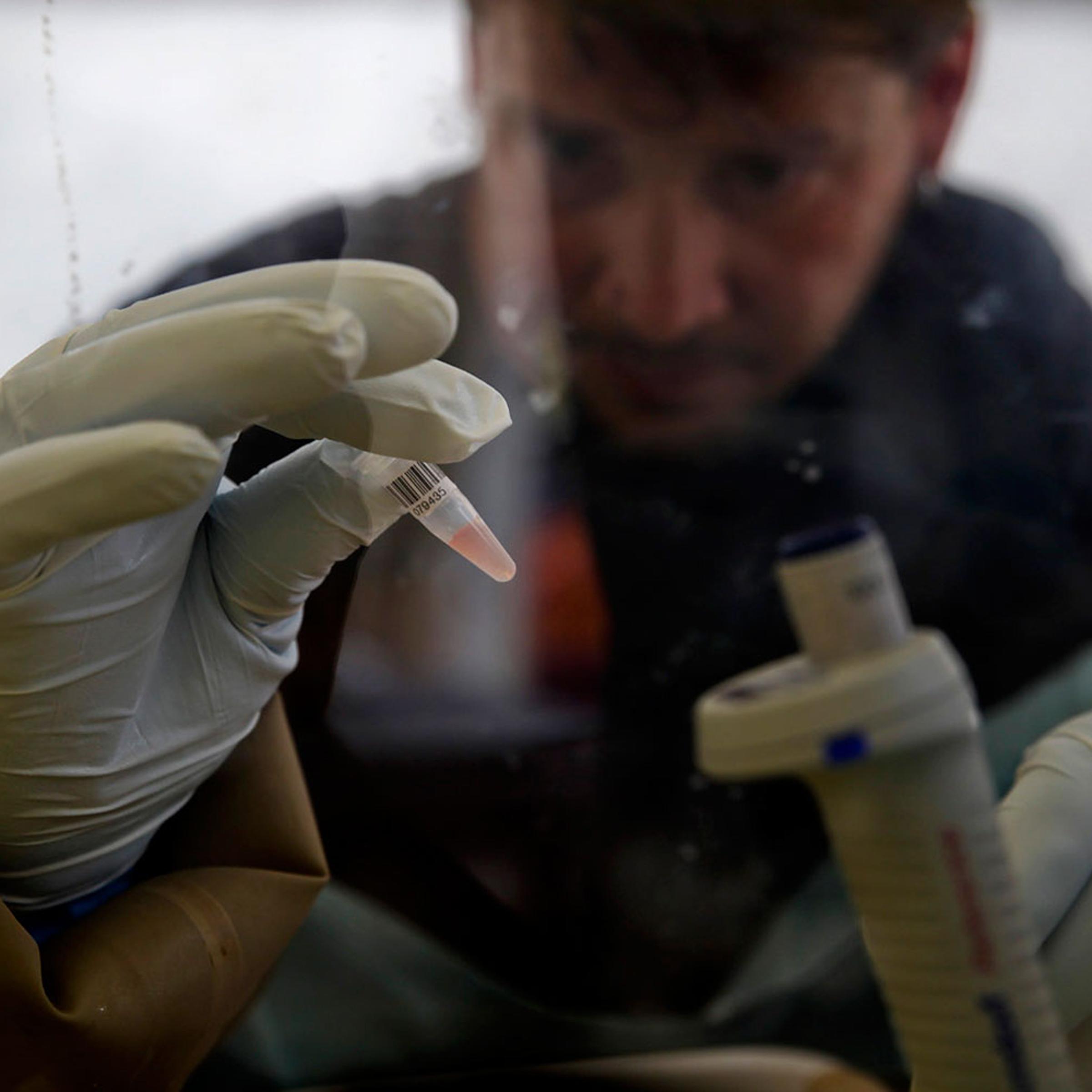 A scientist separates blood cells from plasma cells to isolate any Ebola RNA in order to test for the virus at the European Mobile Laboratory in Gueckedou April 3, 2014.