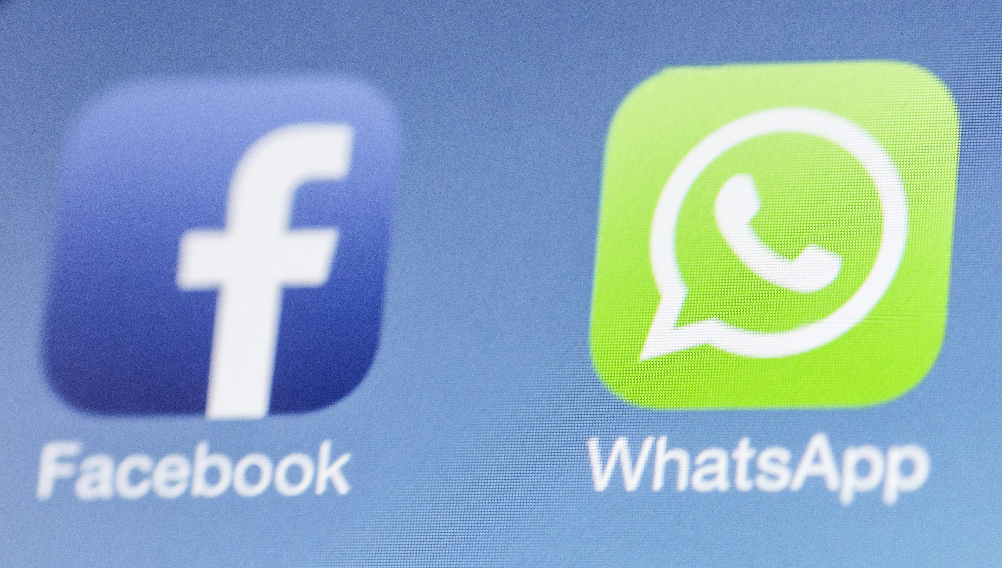 Facebook's New Purchase WhatsApp Lost $232 Million This Year