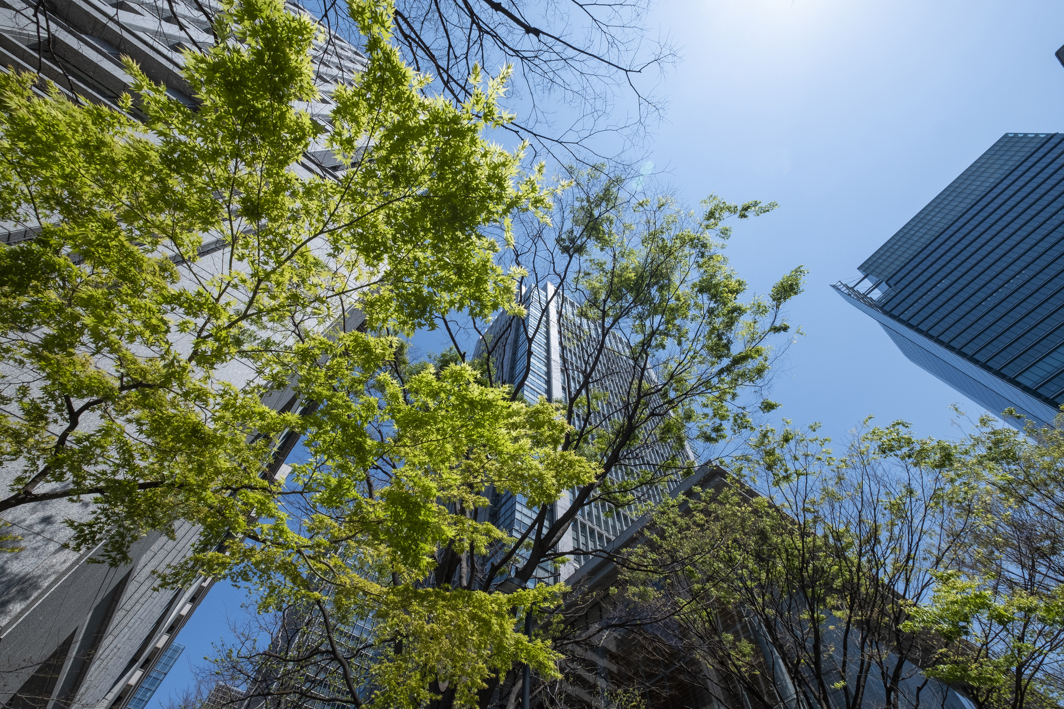 Midsized companies hold the key to replicable climate solutions.