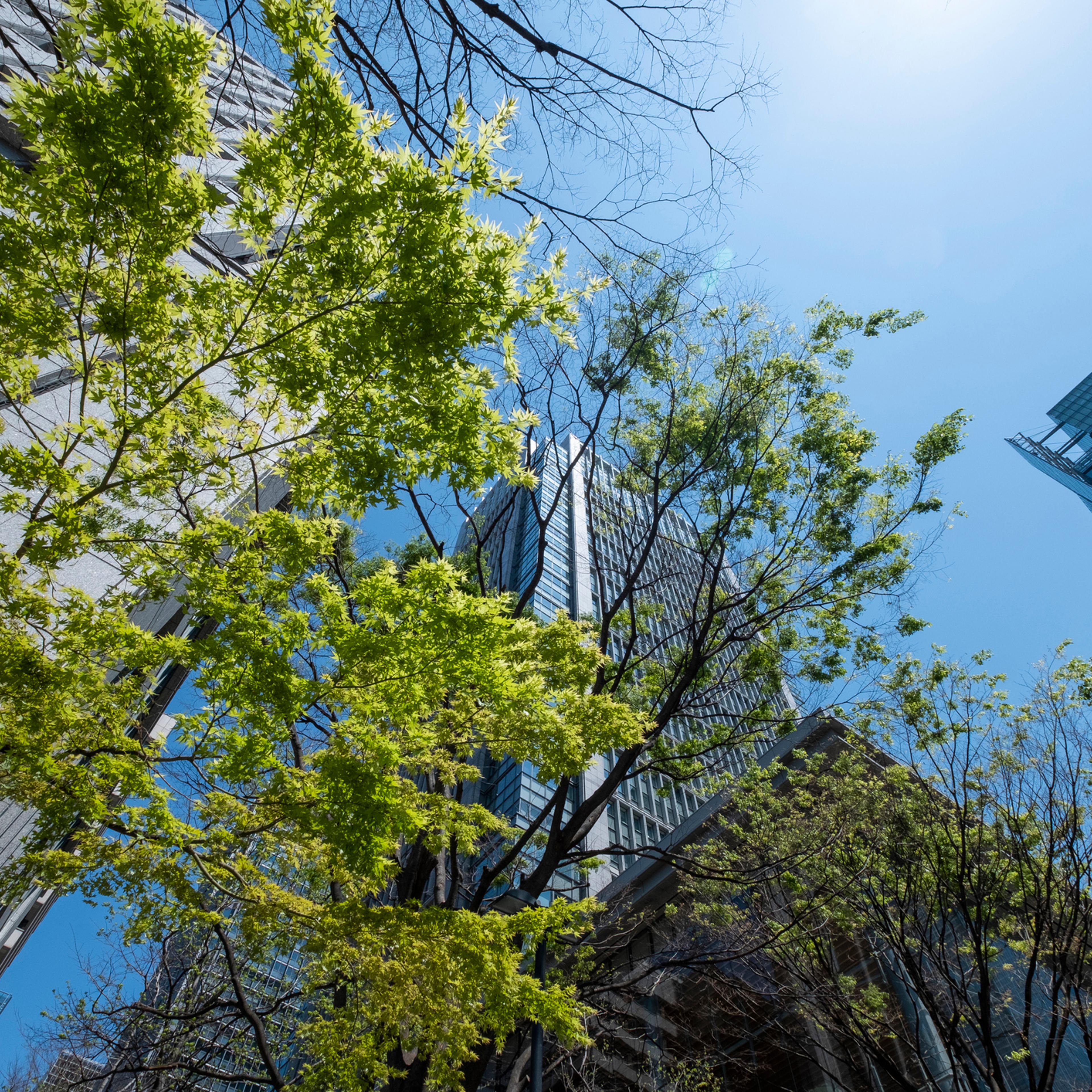 Midsized companies hold the key to replicable climate solutions.